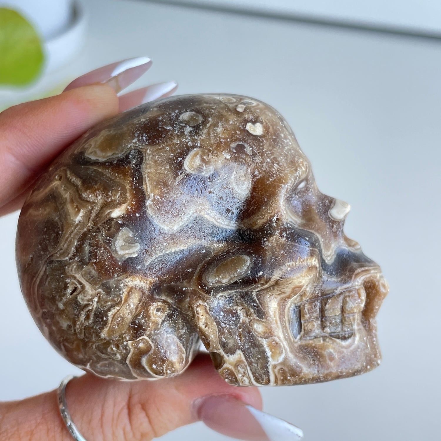 Chocolate Calcite Skull 3