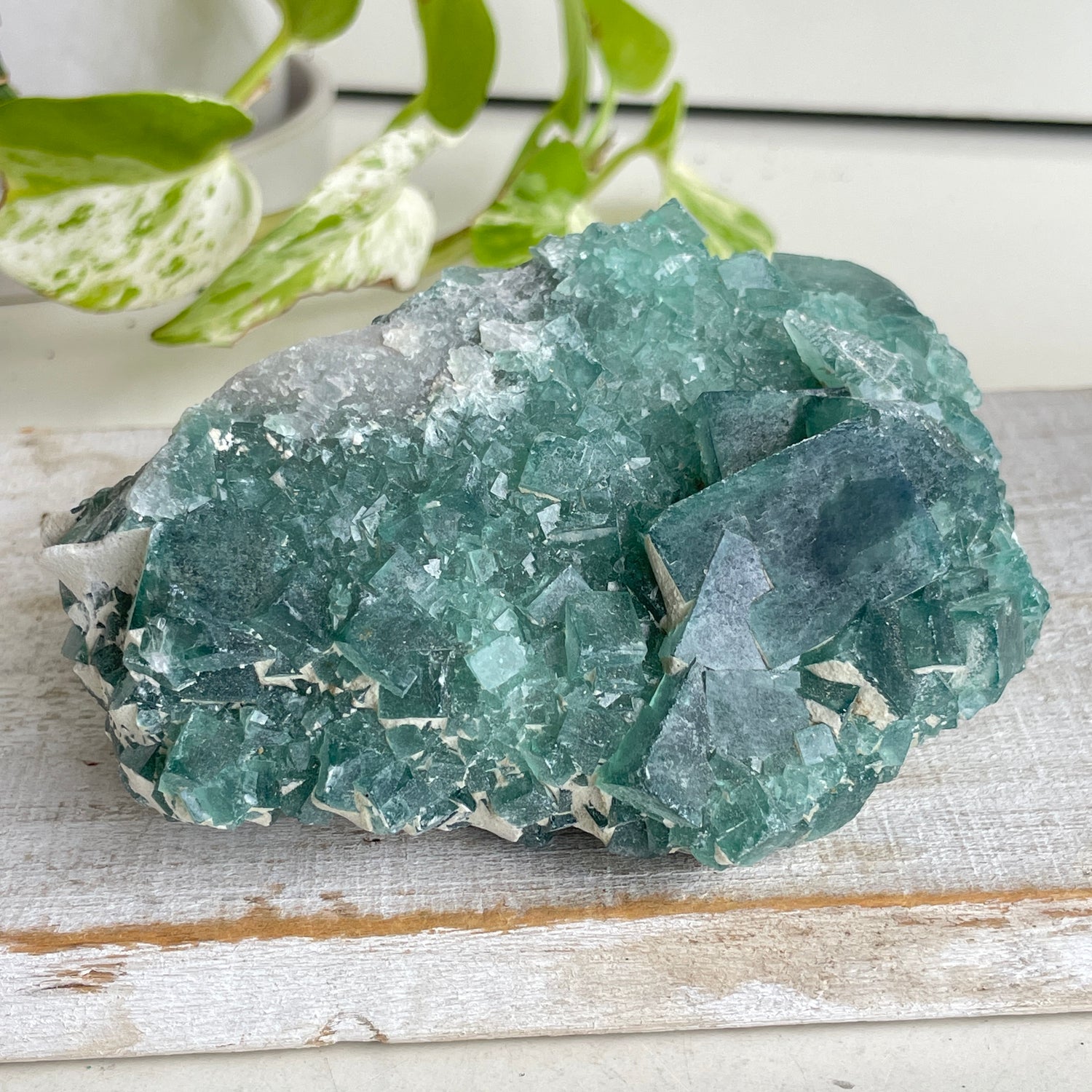 Cubic Fluorite Cluster 456g