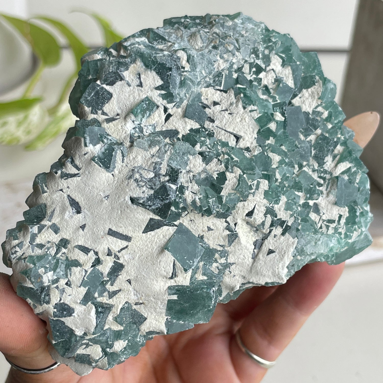 Cubic Fluorite Cluster 456g