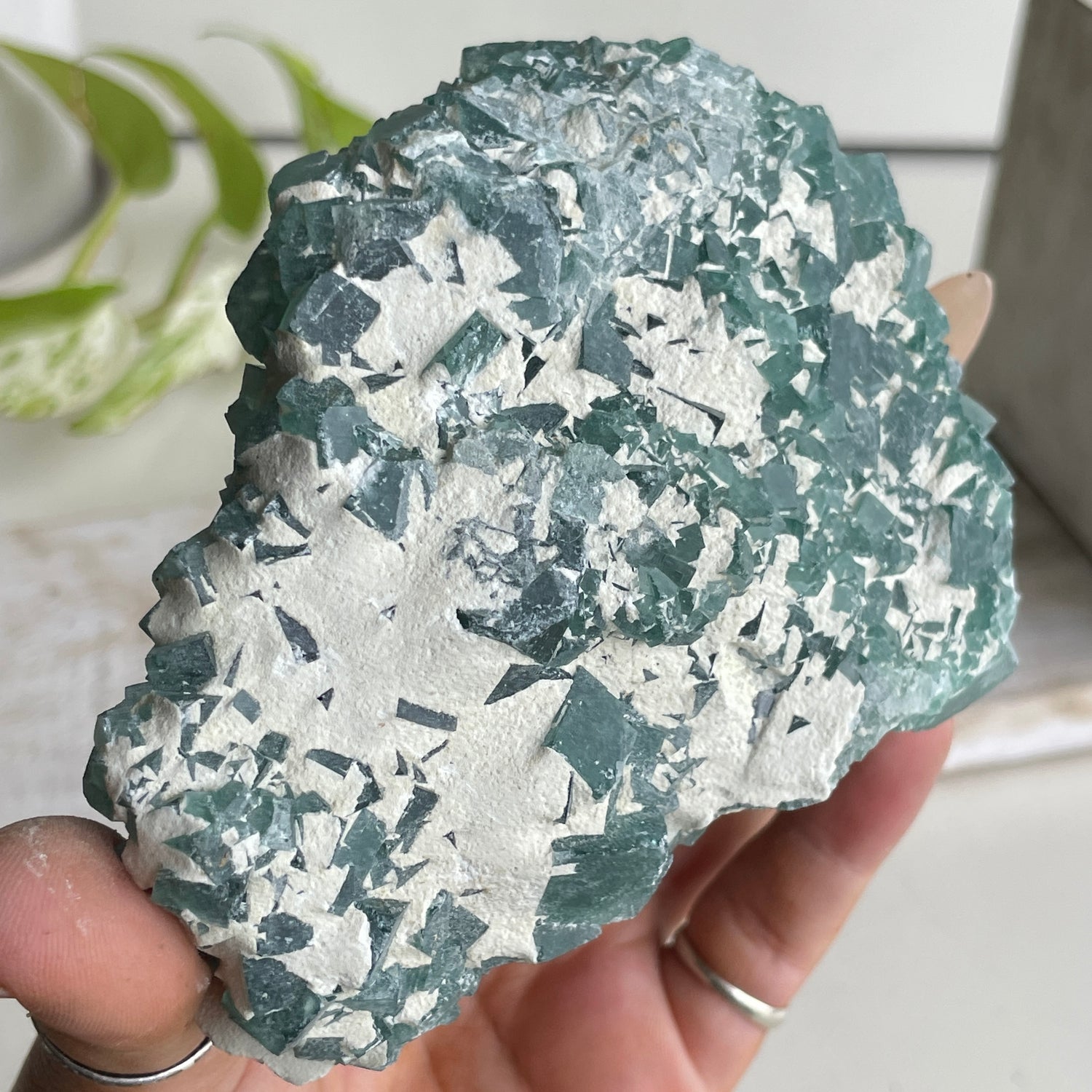 Cubic Fluorite Cluster 456g