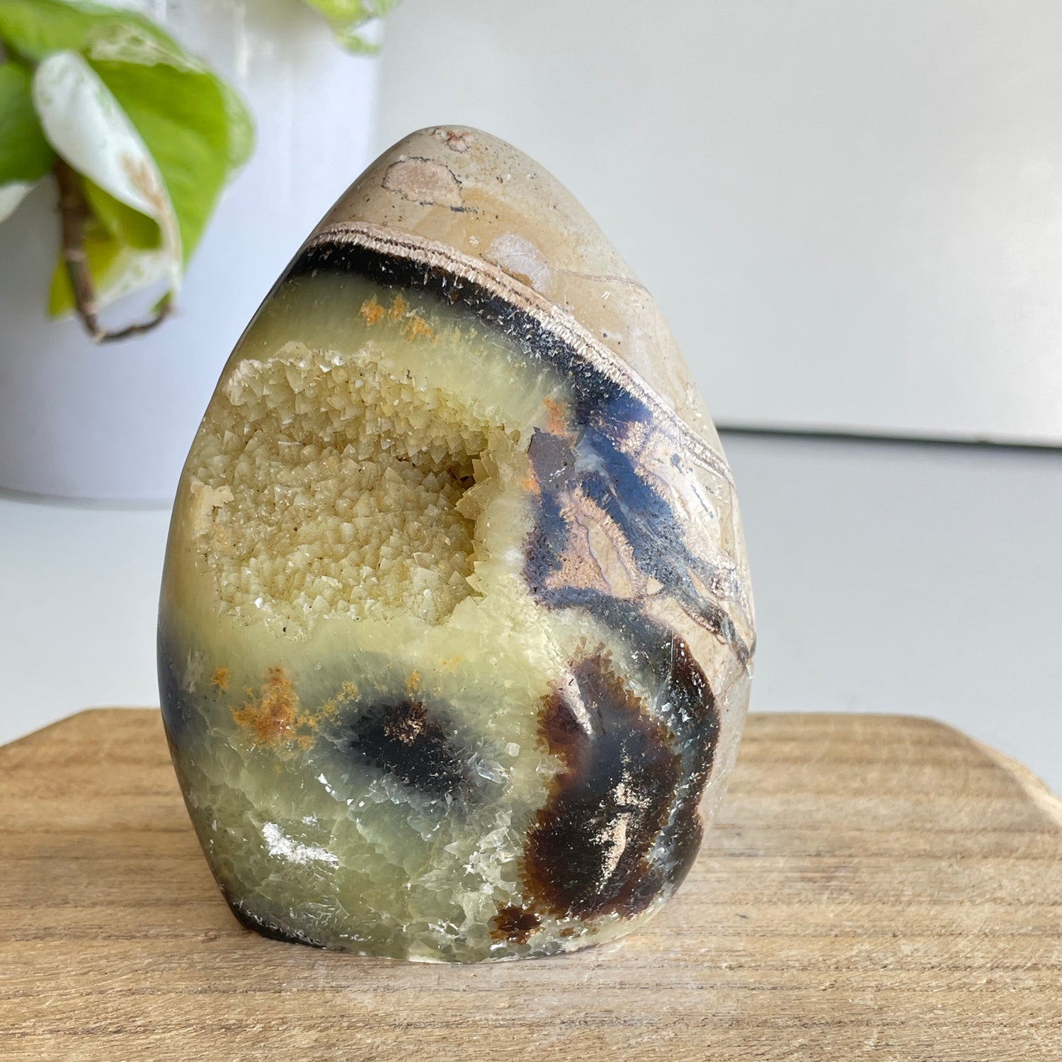 Septarian Freeform 9.2cm