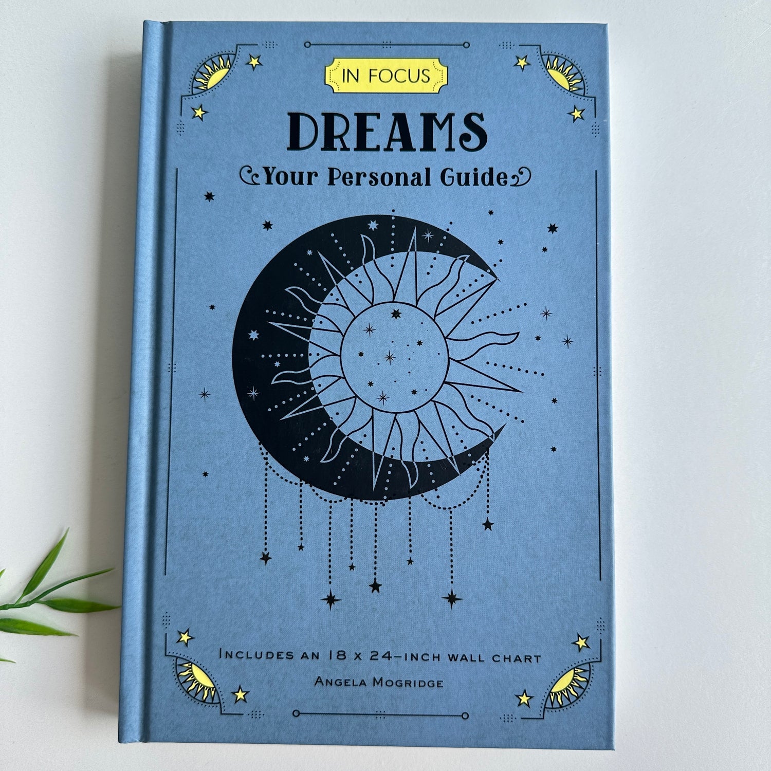 In Focus Dreams Angela Mogridge
