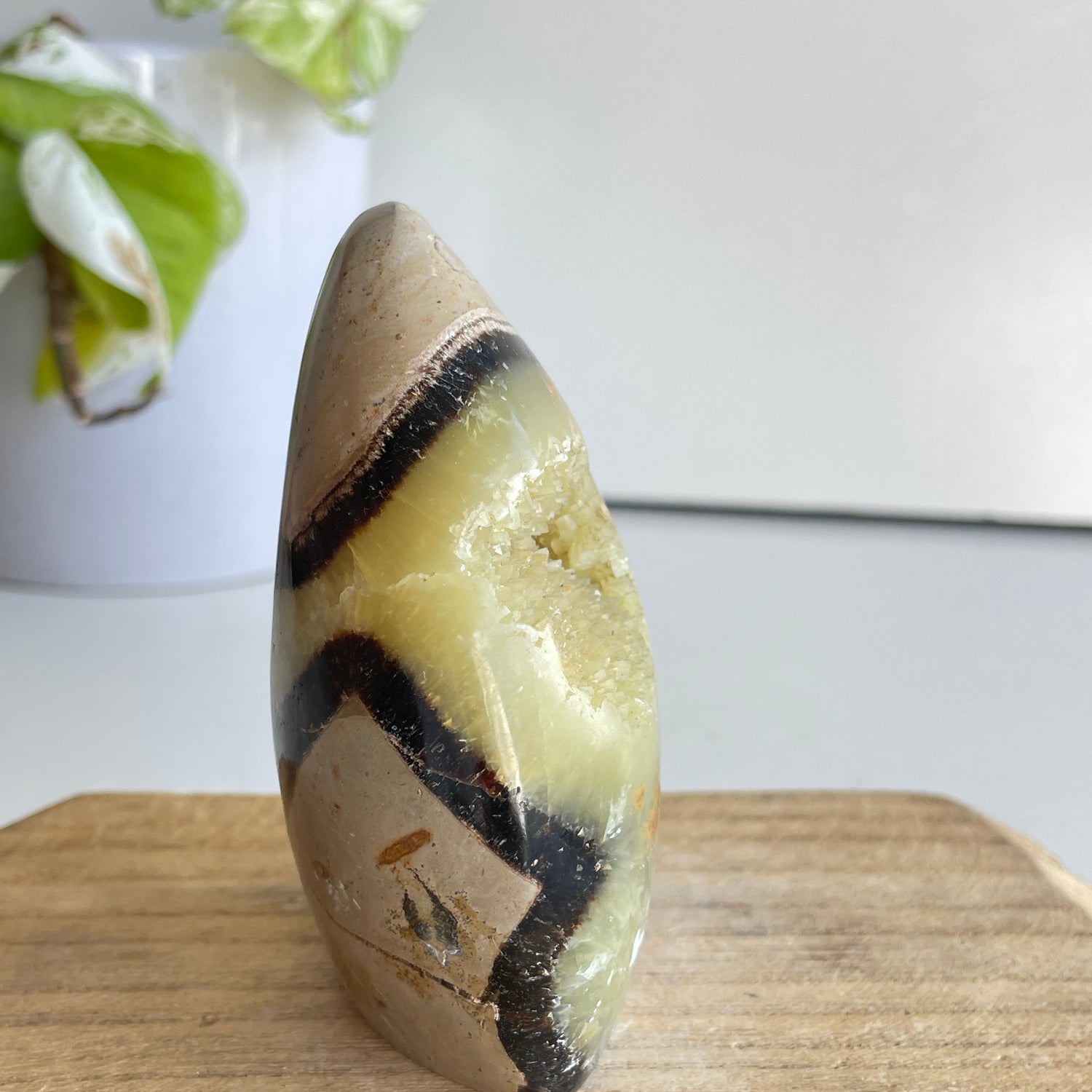 Septarian Freeform 9.2cm