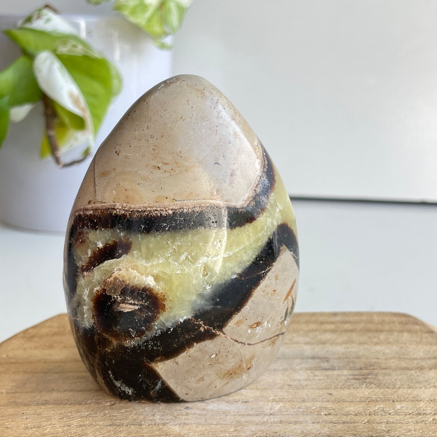 Septarian Freeform 9.2cm