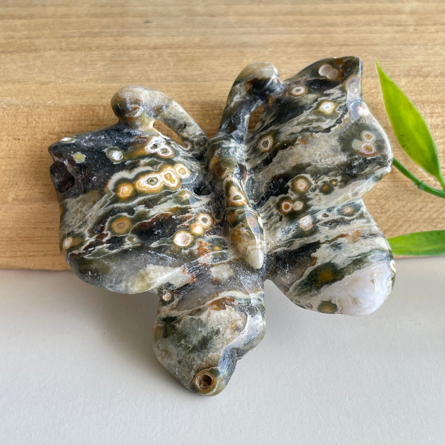 Orbicular Ocean Jasper Butterfly 6.3cm