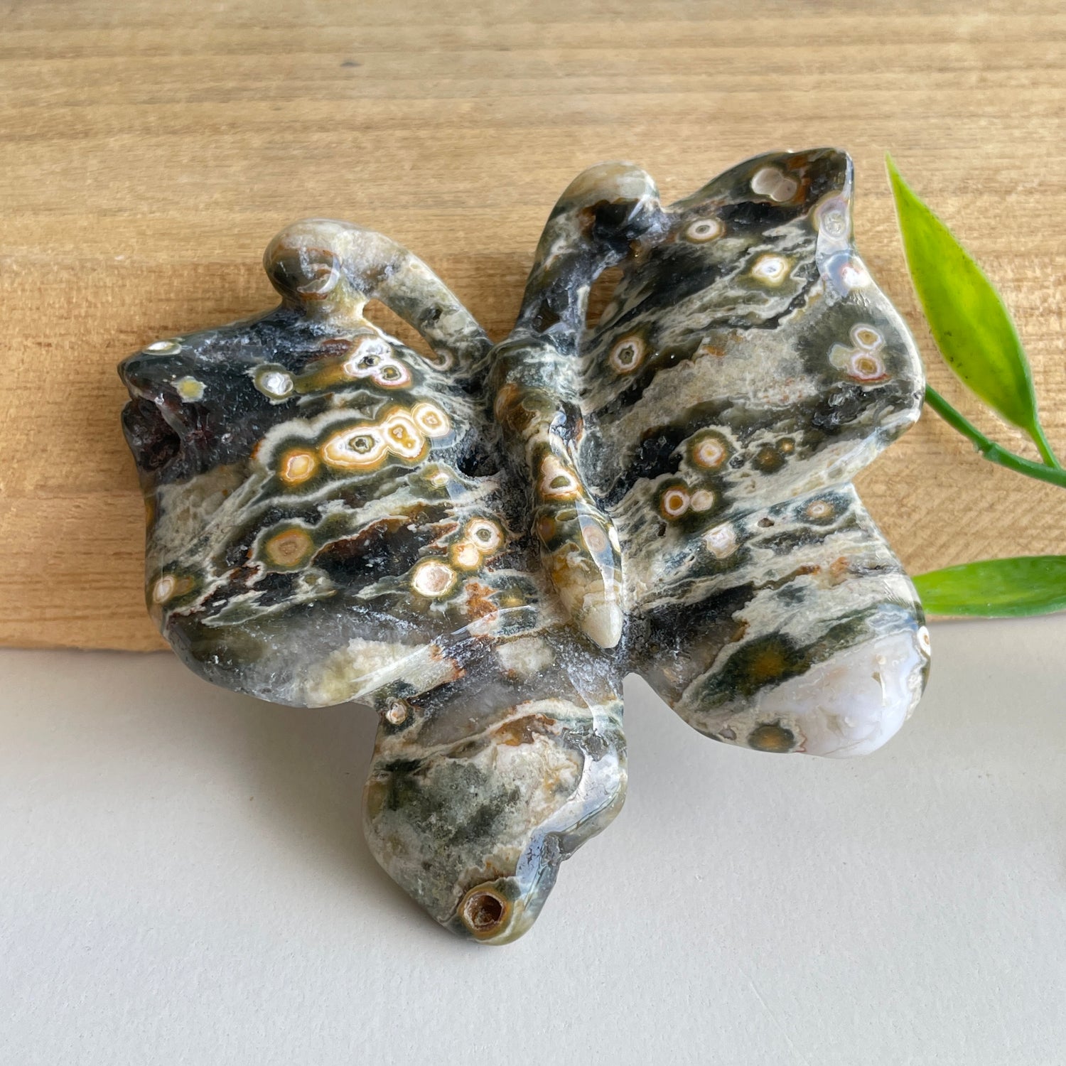 Orbicular Ocean Jasper Butterfly 6.3cm