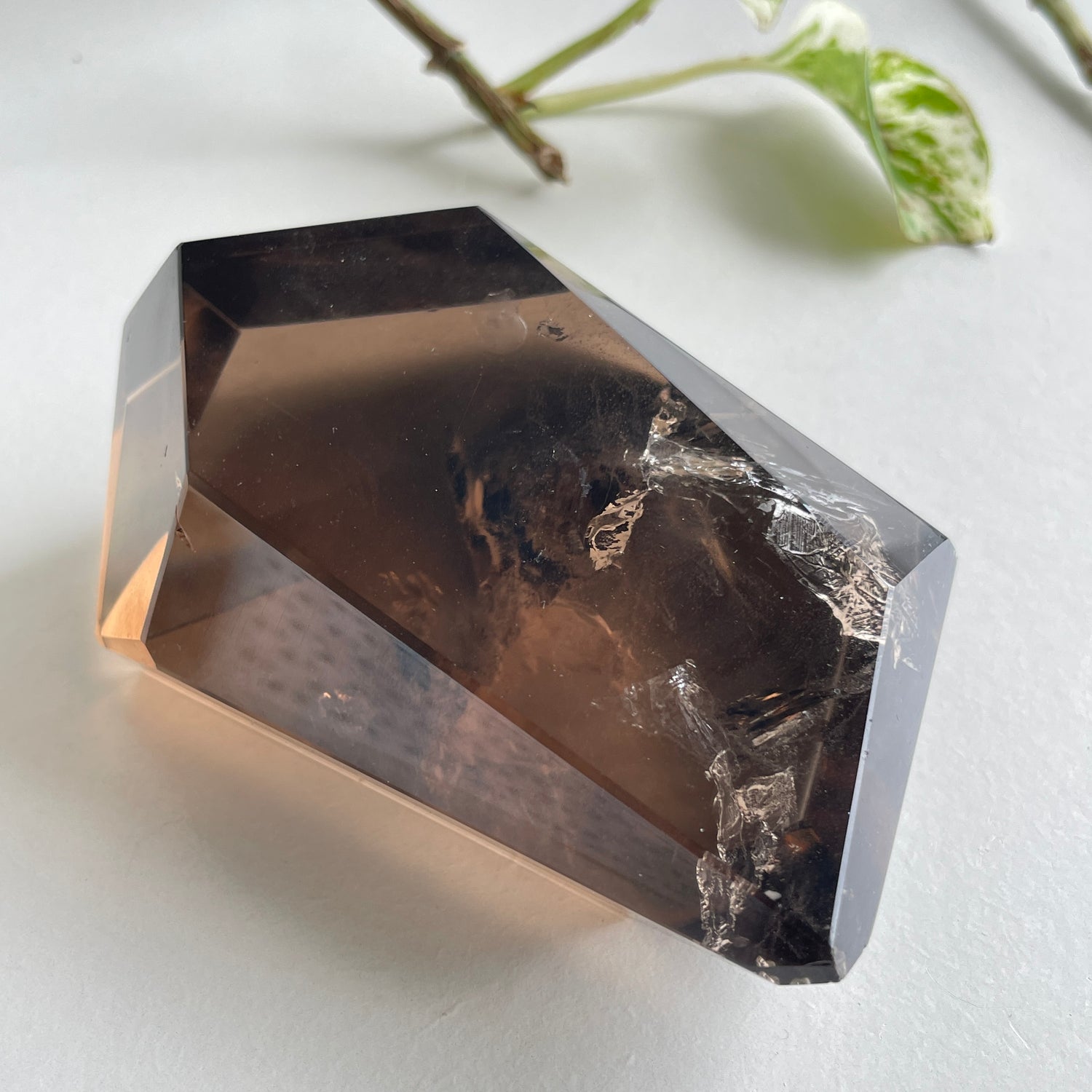 Citrine Freeform High Quality 456g ( Chipped Tip )