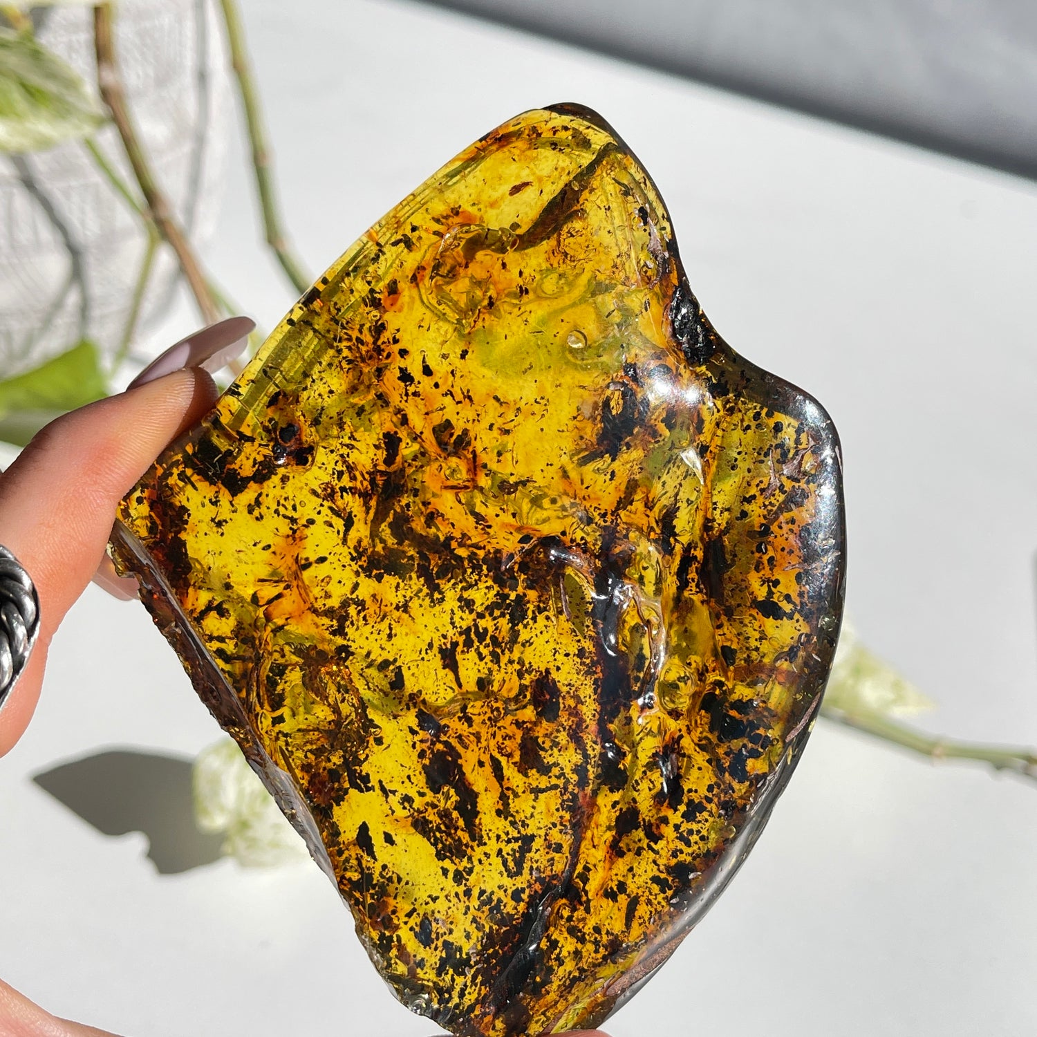 Amber Pc 104g