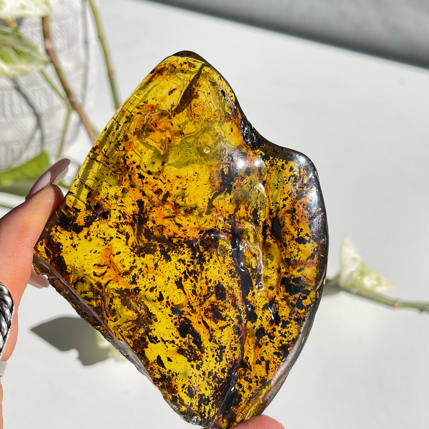 Amber Pc 104g
