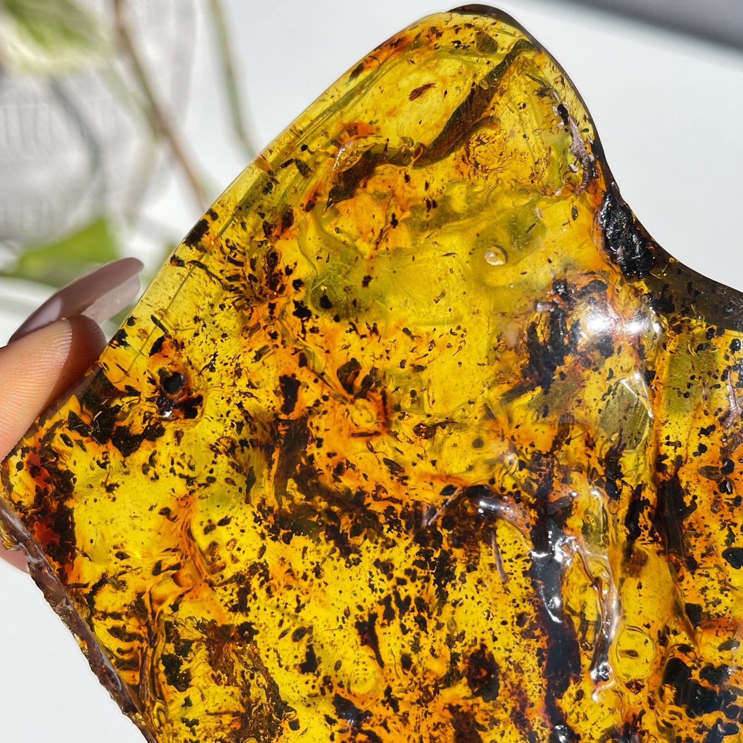 Amber Pc 104g