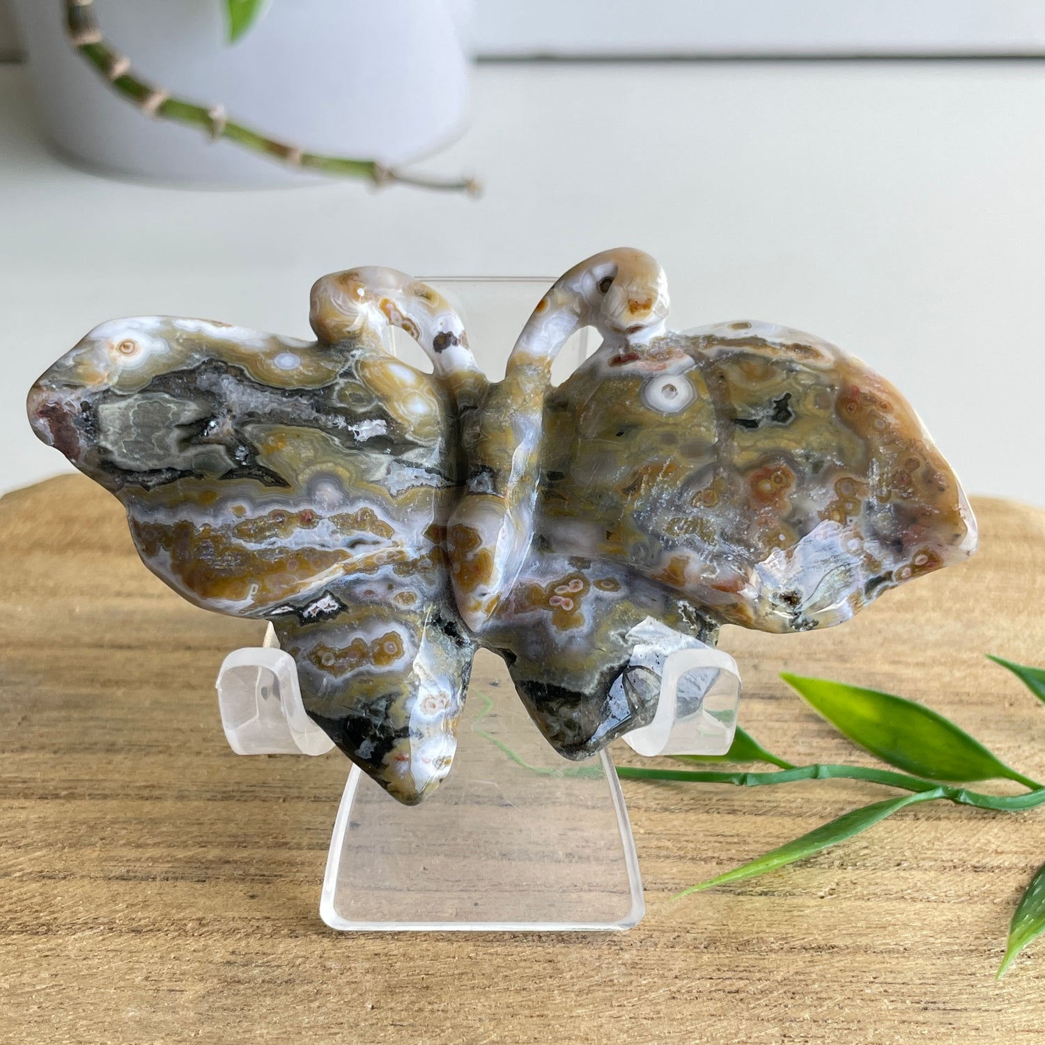 Orbicular Ocean Jasper Butterfly 8.8cm