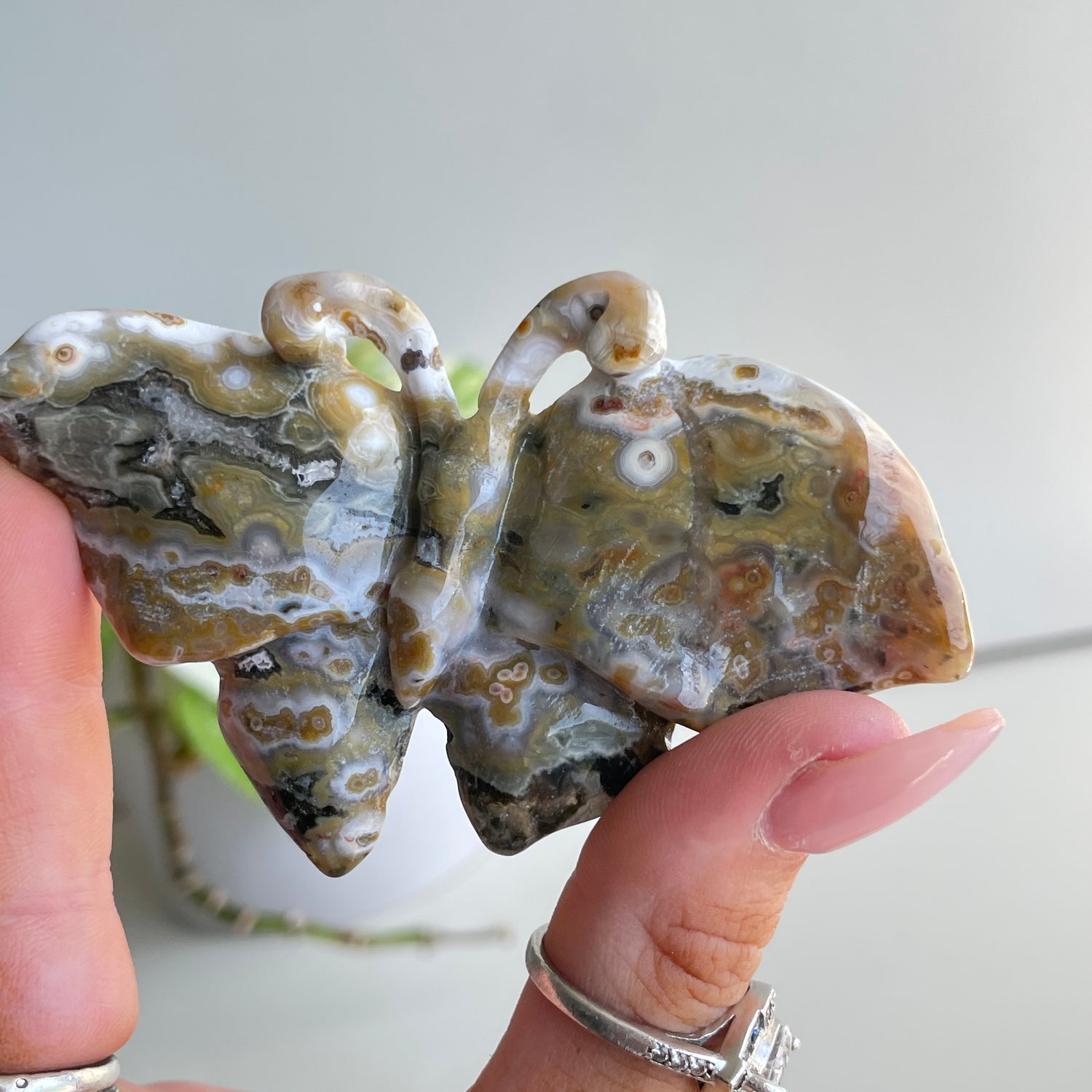 Orbicular Ocean Jasper Butterfly 8.8cm