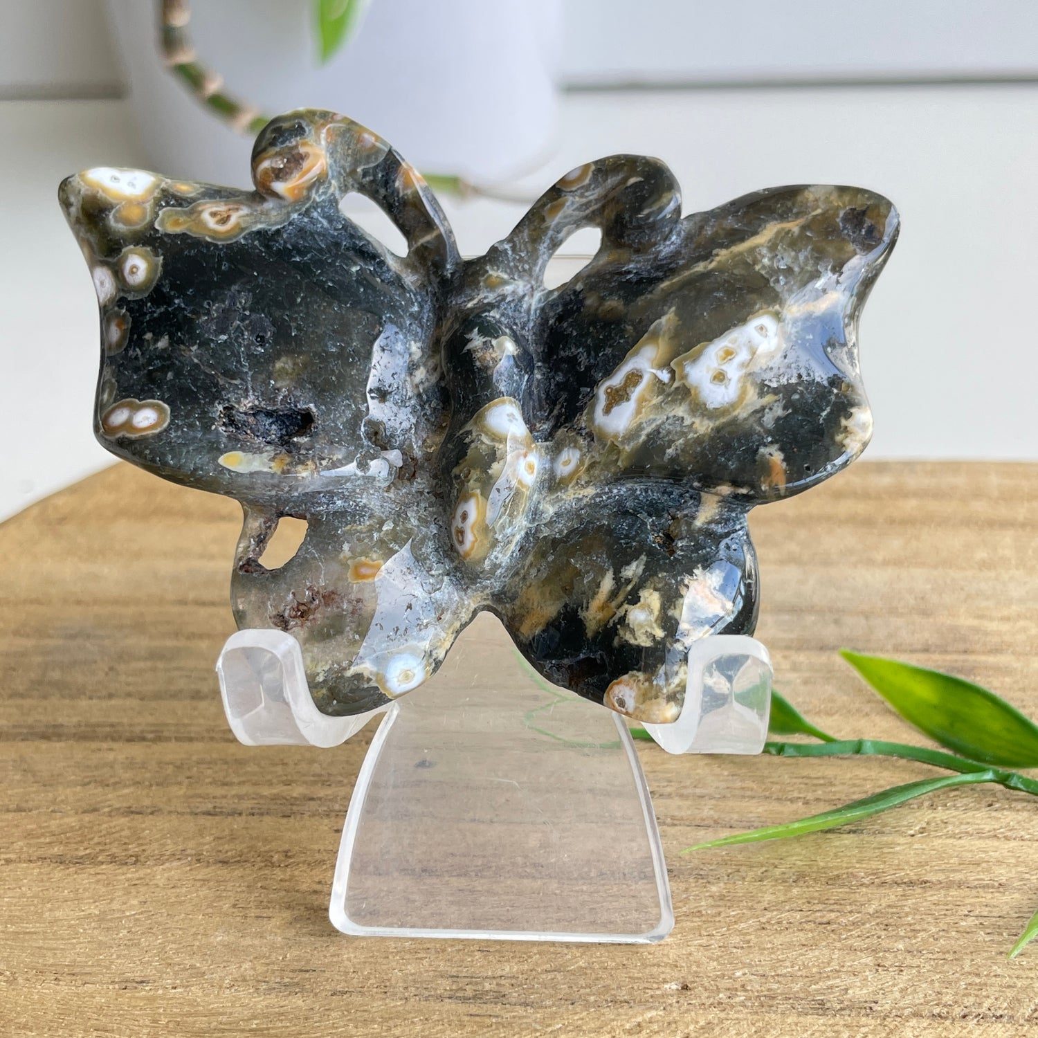 Orbicular Ocean Jasper Butterfly 7.7cm