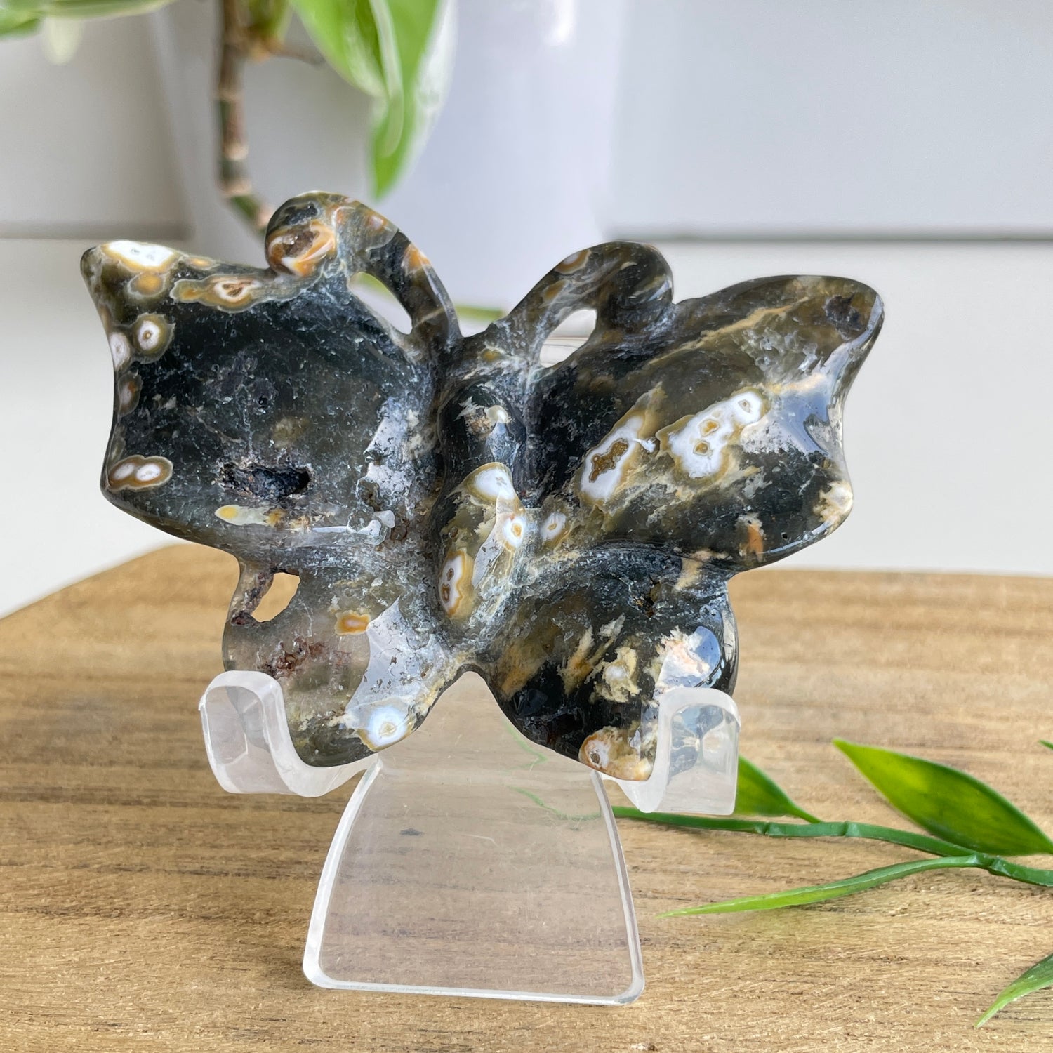 Orbicular Ocean Jasper Butterfly 7.7cm