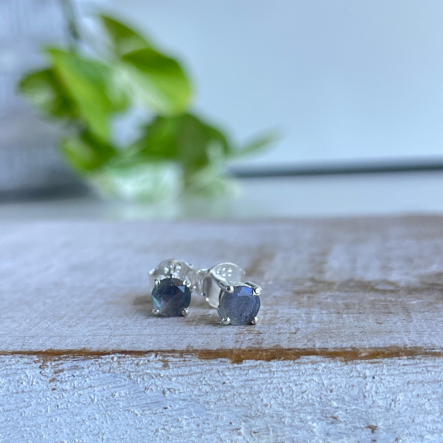 Labradorite Round Stud Earrings