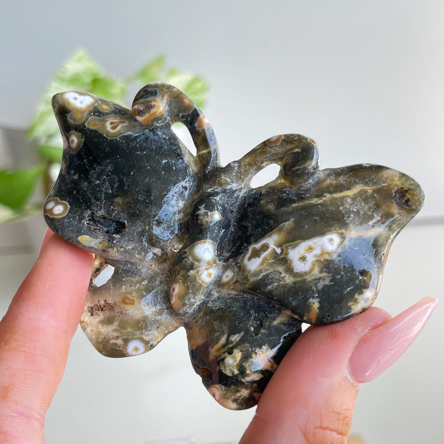 Orbicular Ocean Jasper Butterfly 7.7cm