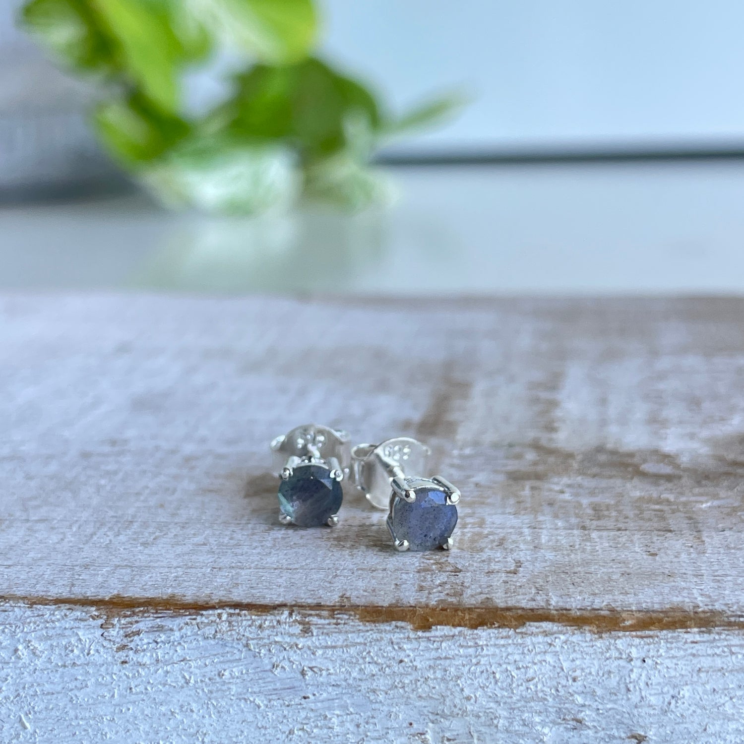 Labradorite Round Stud Earrings