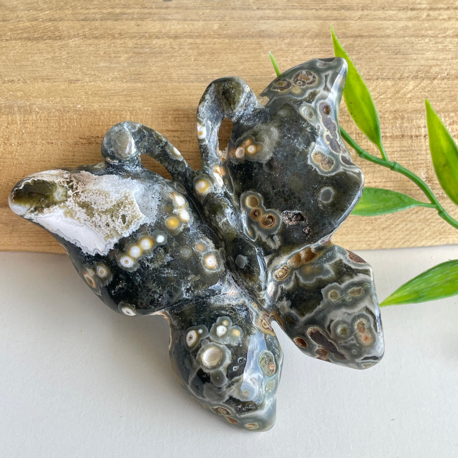 Orbicular Ocean Jasper Butterfly 7.6cm