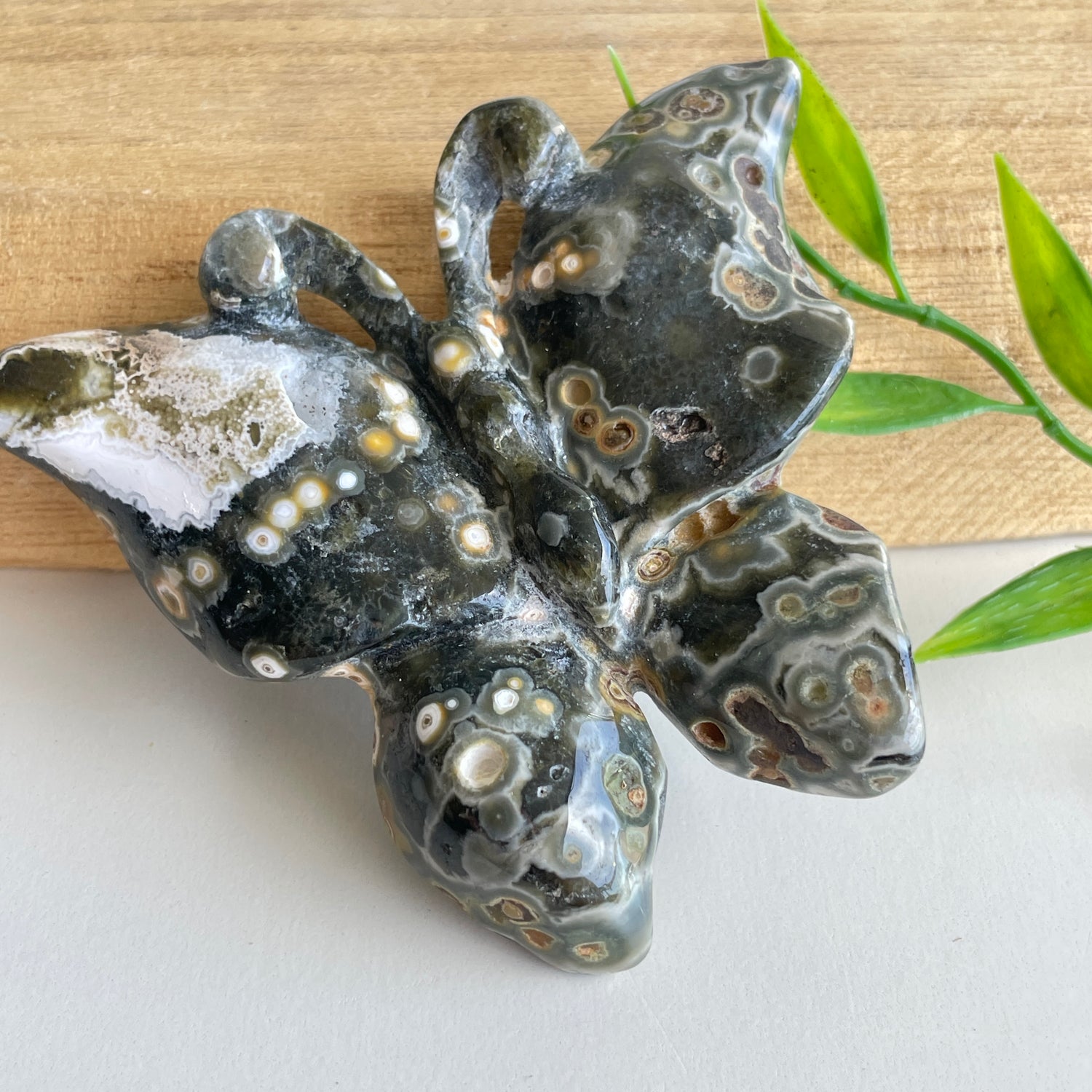Orbicular Ocean Jasper Butterfly 7.6cm