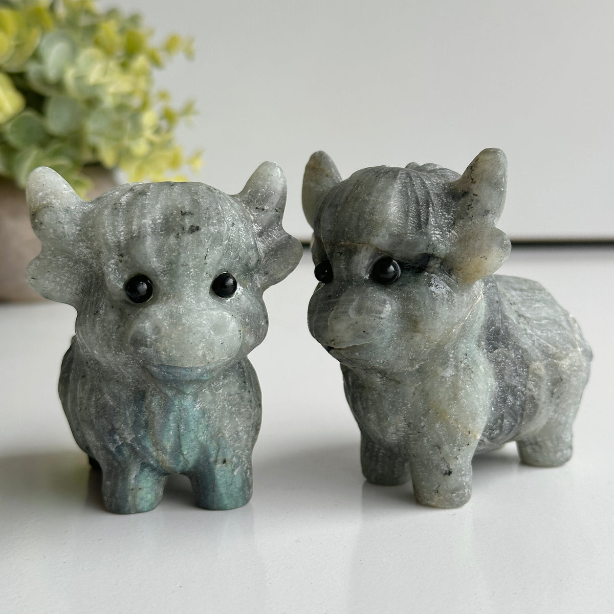 Labradorite Highland Cow 8cm