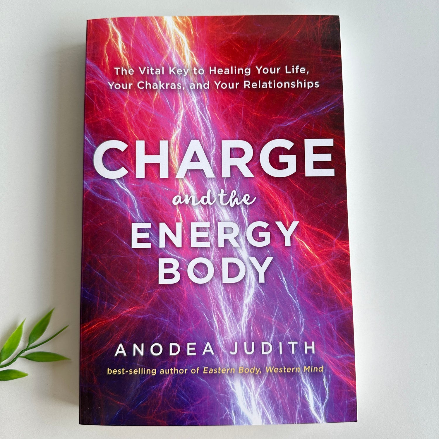 Charge And The Energy Body Anodea Judith