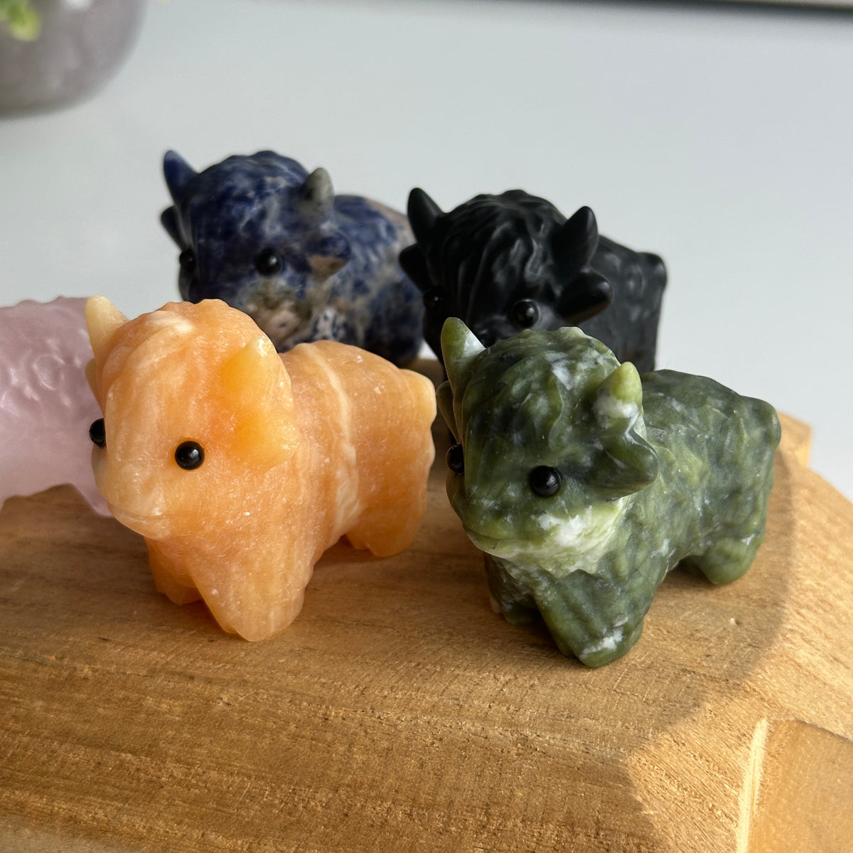 Highland Cow Assorted
