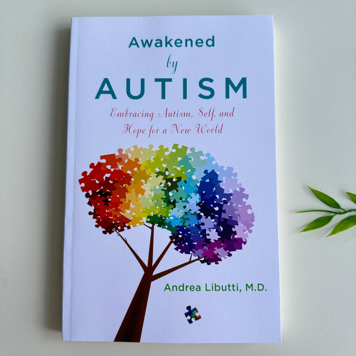 Awakened by Autism Andrea Libutti