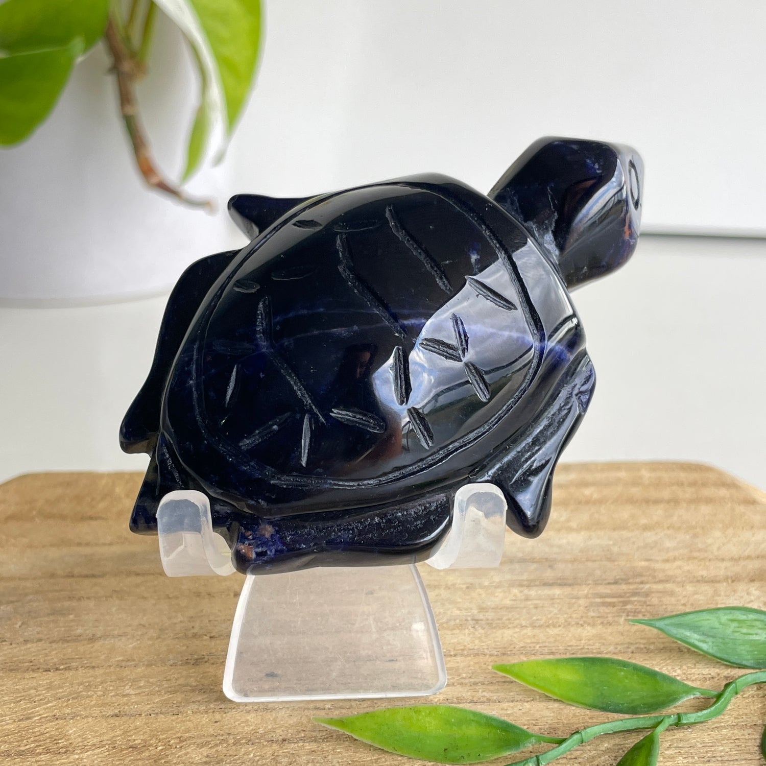 Sodalite Turtle 2