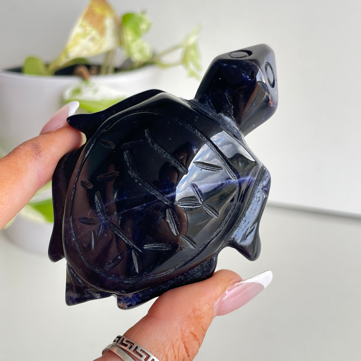 Sodalite Turtle 2