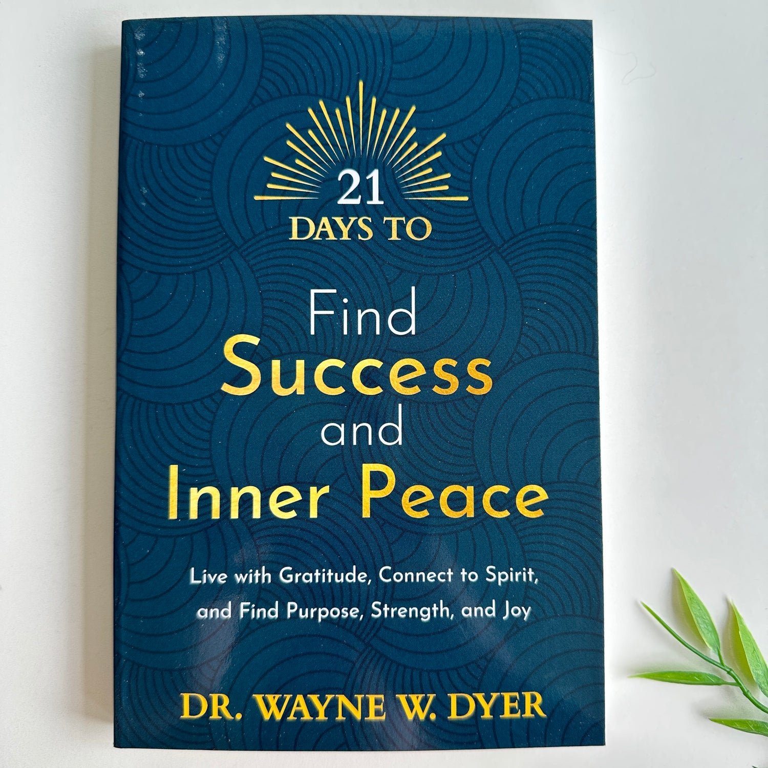 21 Days To Find Success And Inner Peace Dr Wayne Dyer