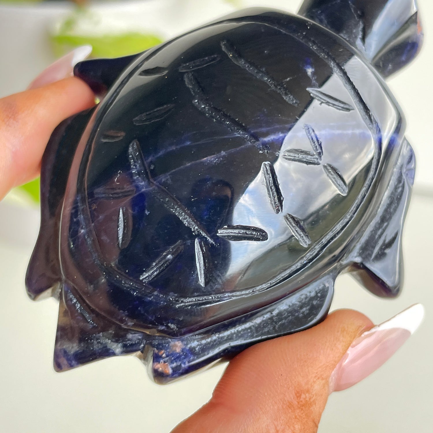 Sodalite Turtle 2