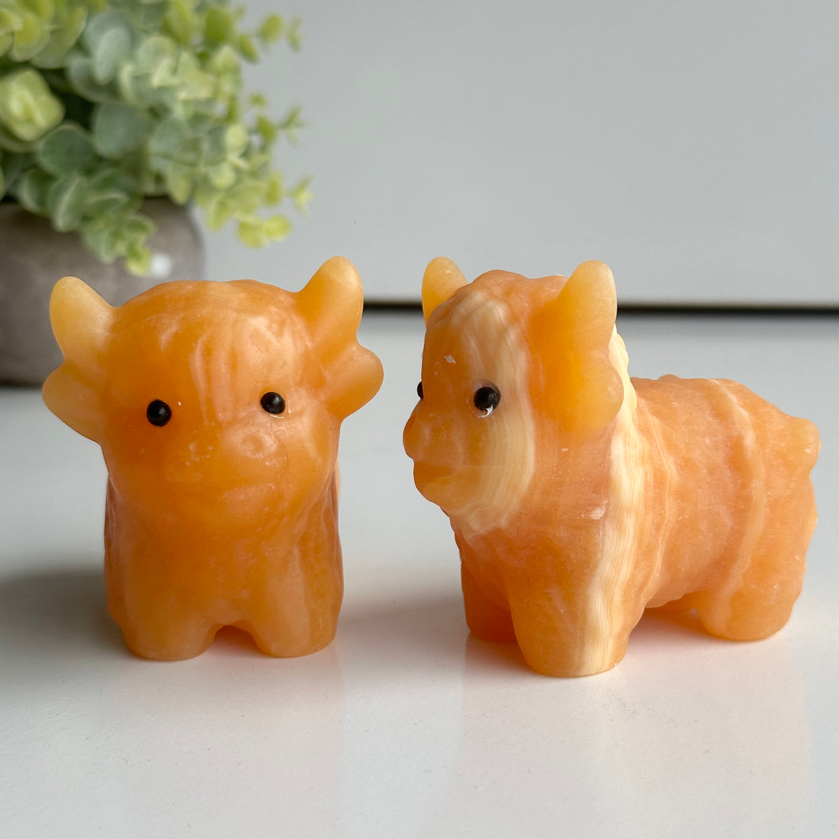 Orange Calcite Highland Cow 7.5cm