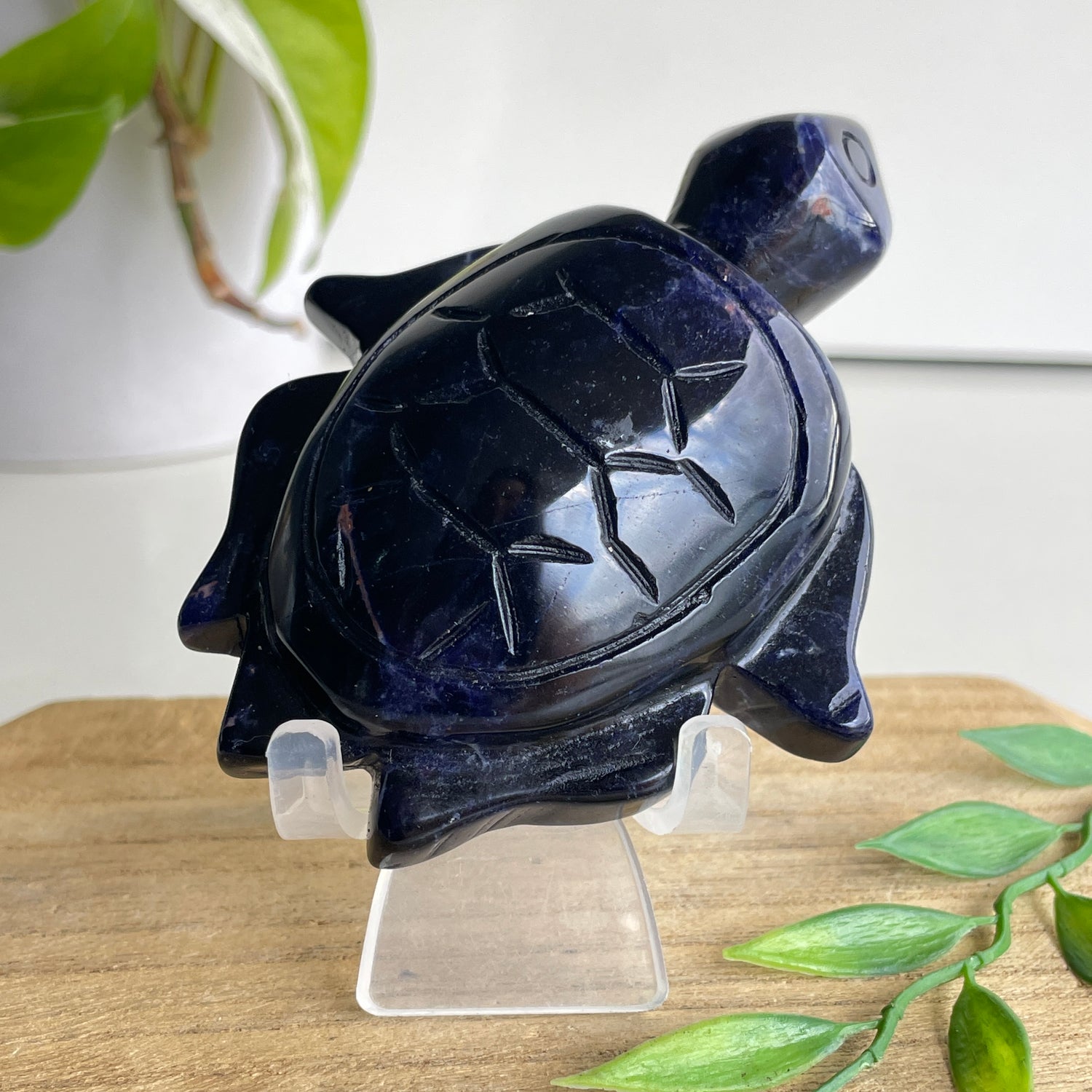Sodalite Turtle 3