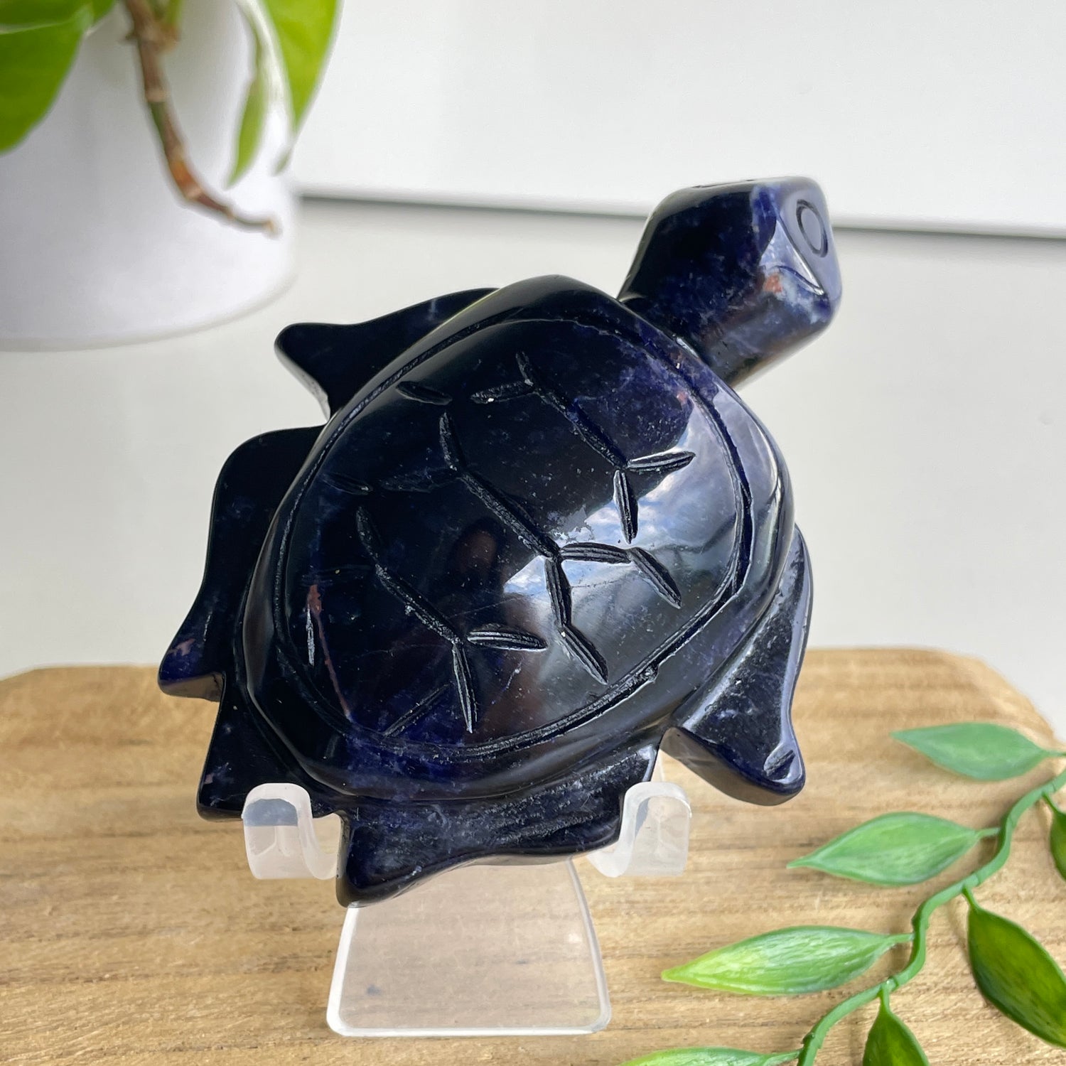 Sodalite Turtle 3