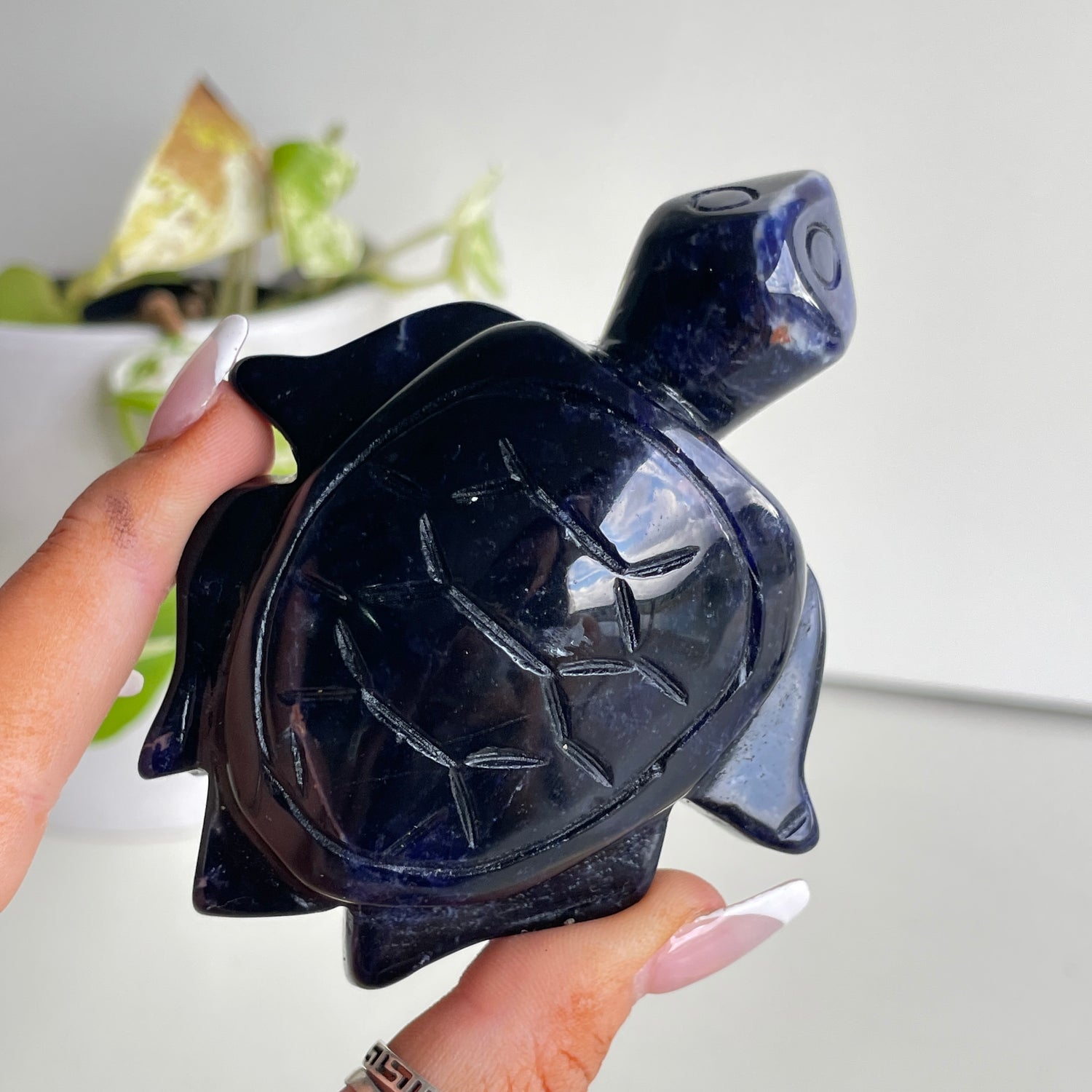 Sodalite Turtle 3