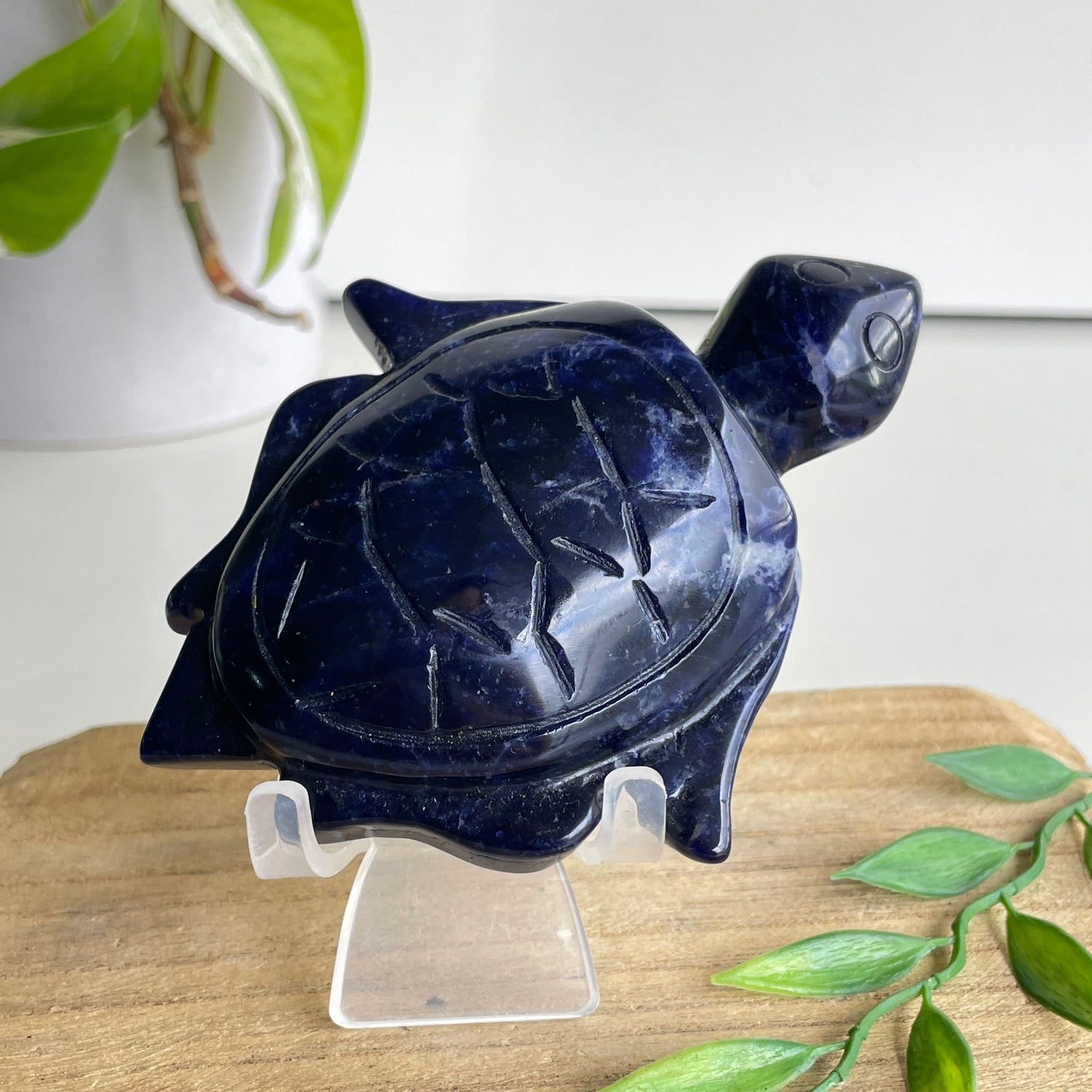 Sodalite Turtle 4