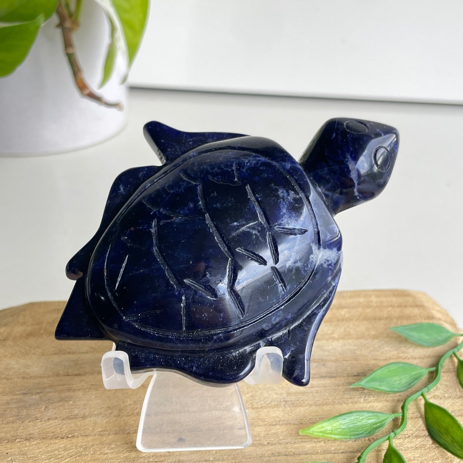 Sodalite Turtle 4