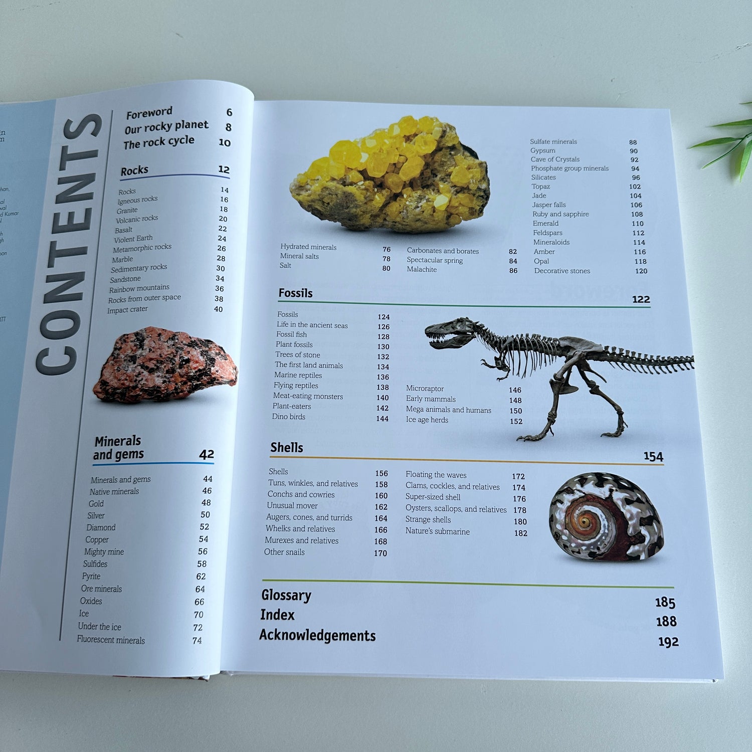 The Rock And Gem Book
