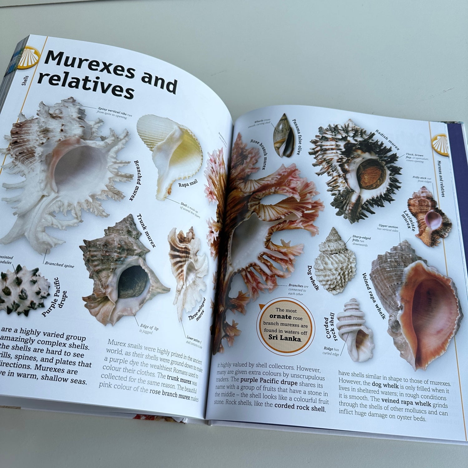 The Rock And Gem Book