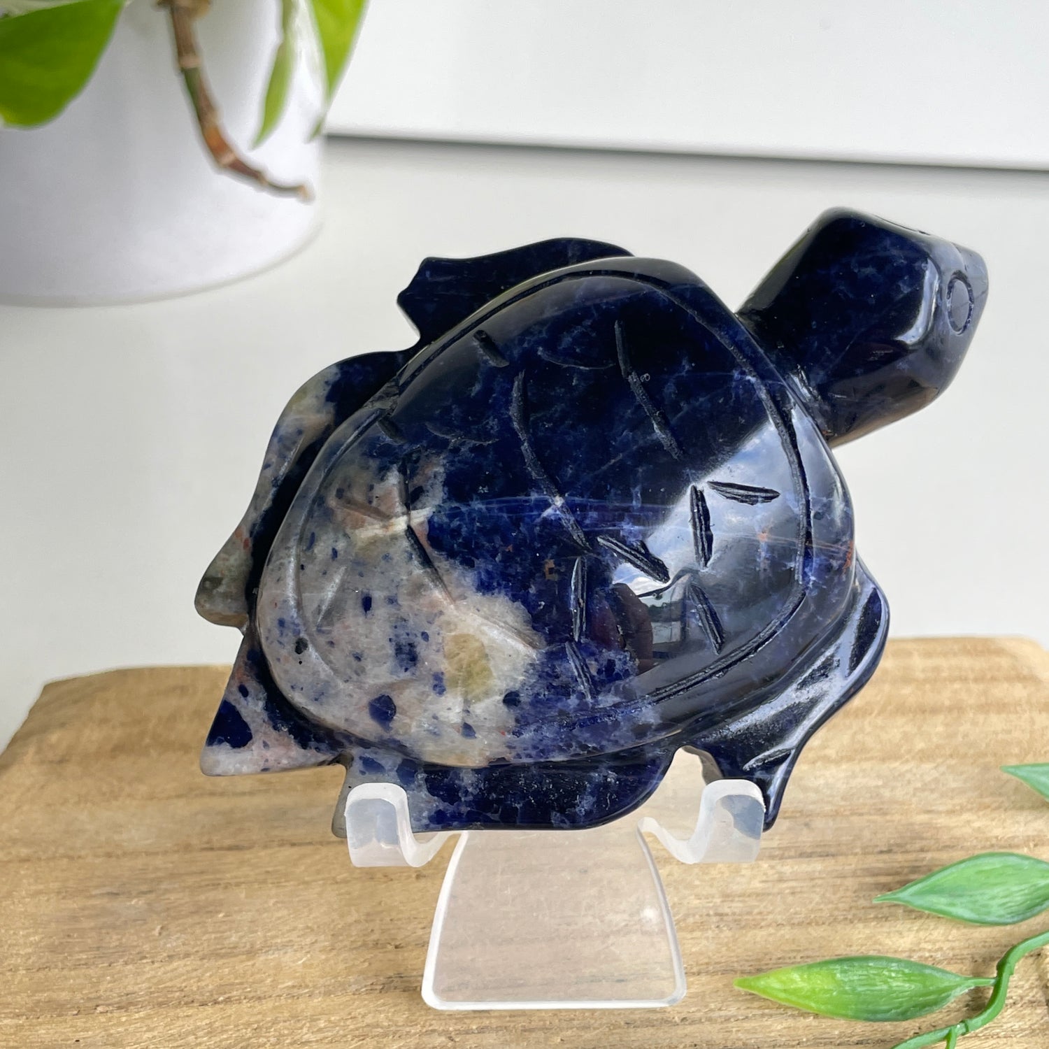 Sodalite Turtle 5