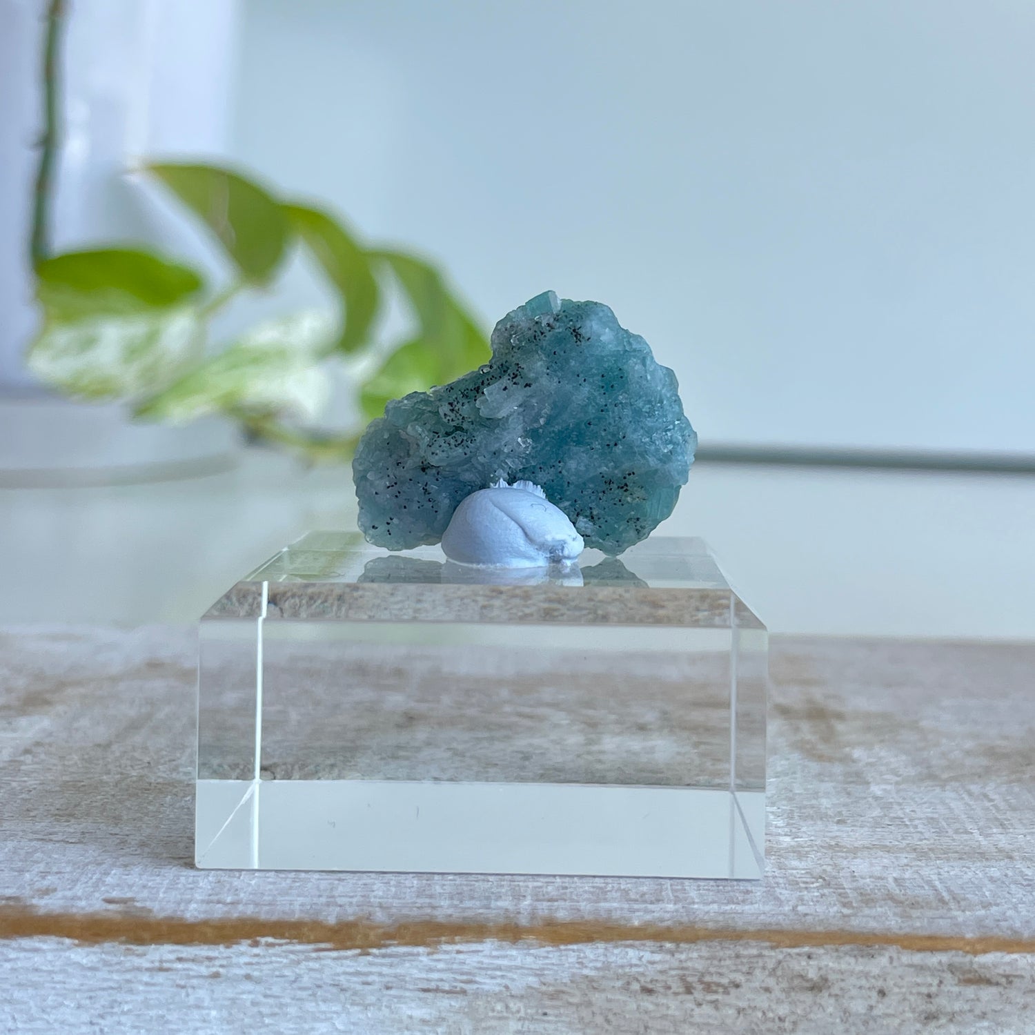 Blue Tourmaline Cluster 5.66g