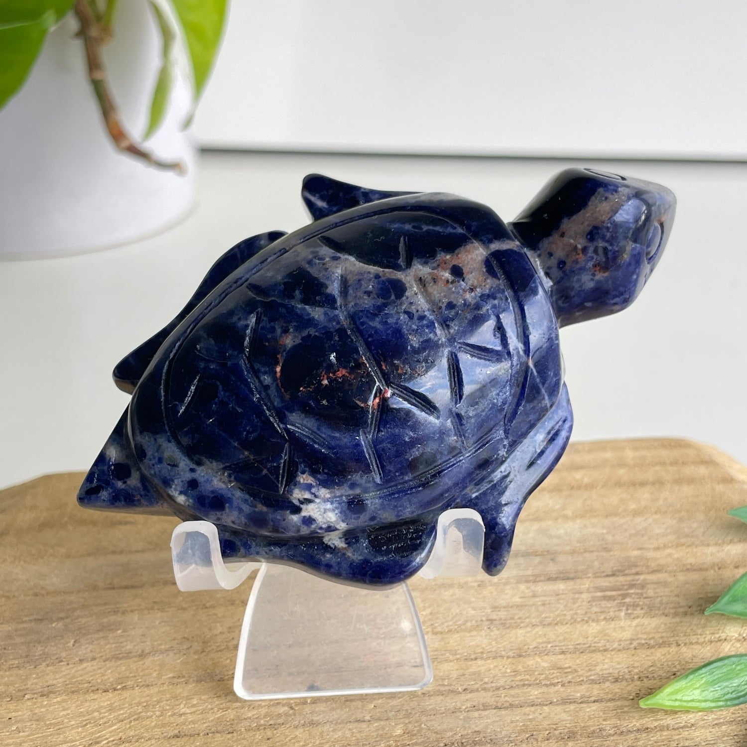 Sodalite Turtle 7