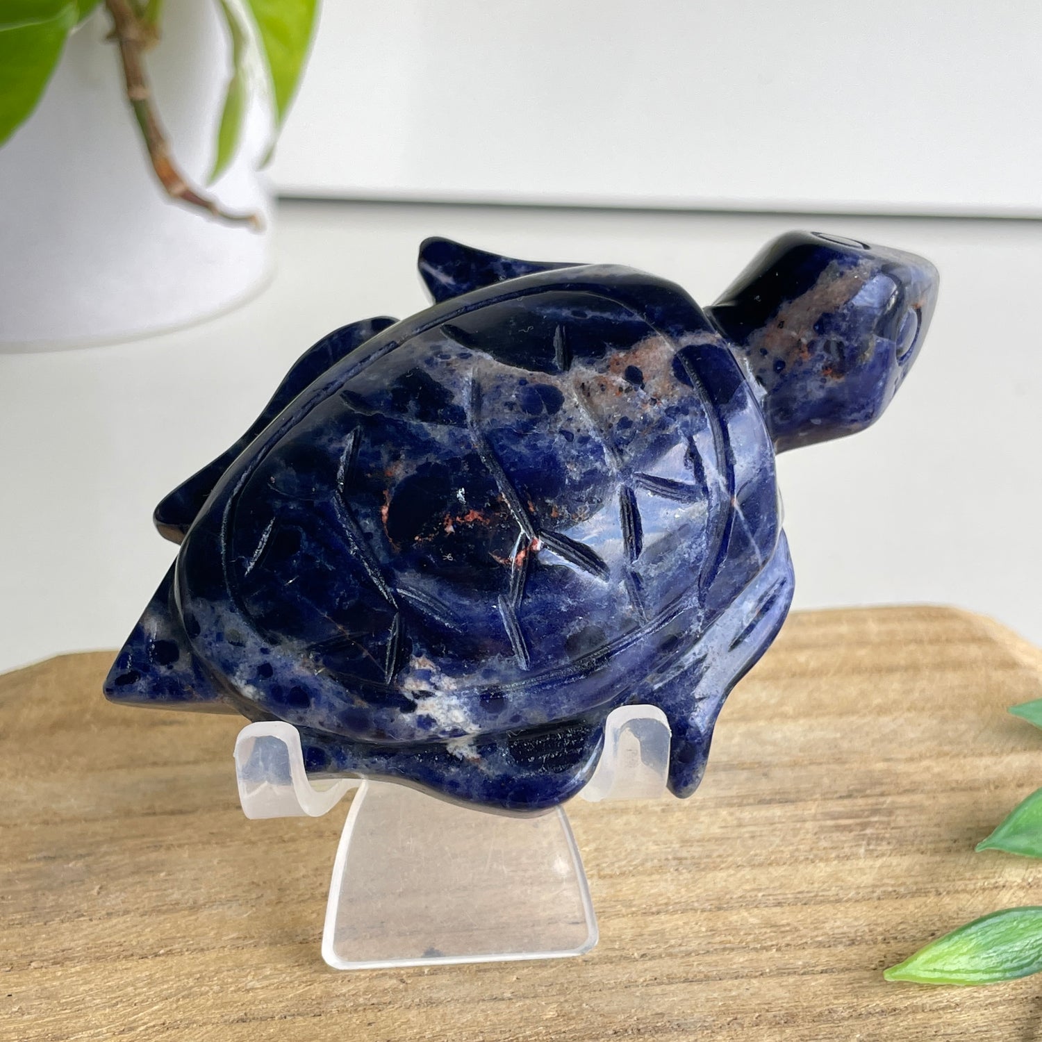 Sodalite Turtle 7