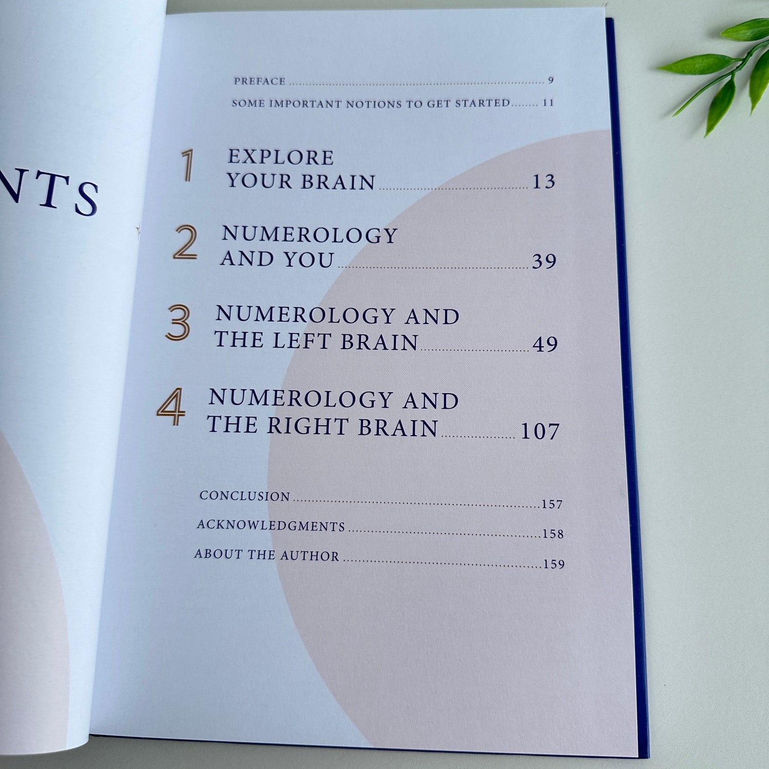 Numerology Annie Sophie Casper