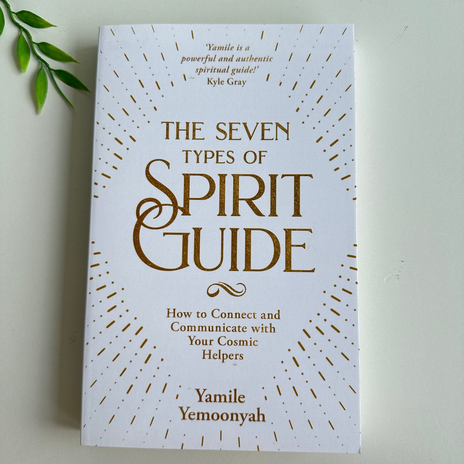 Seven Types Of Spirit Guides Yamile Yemoonyah