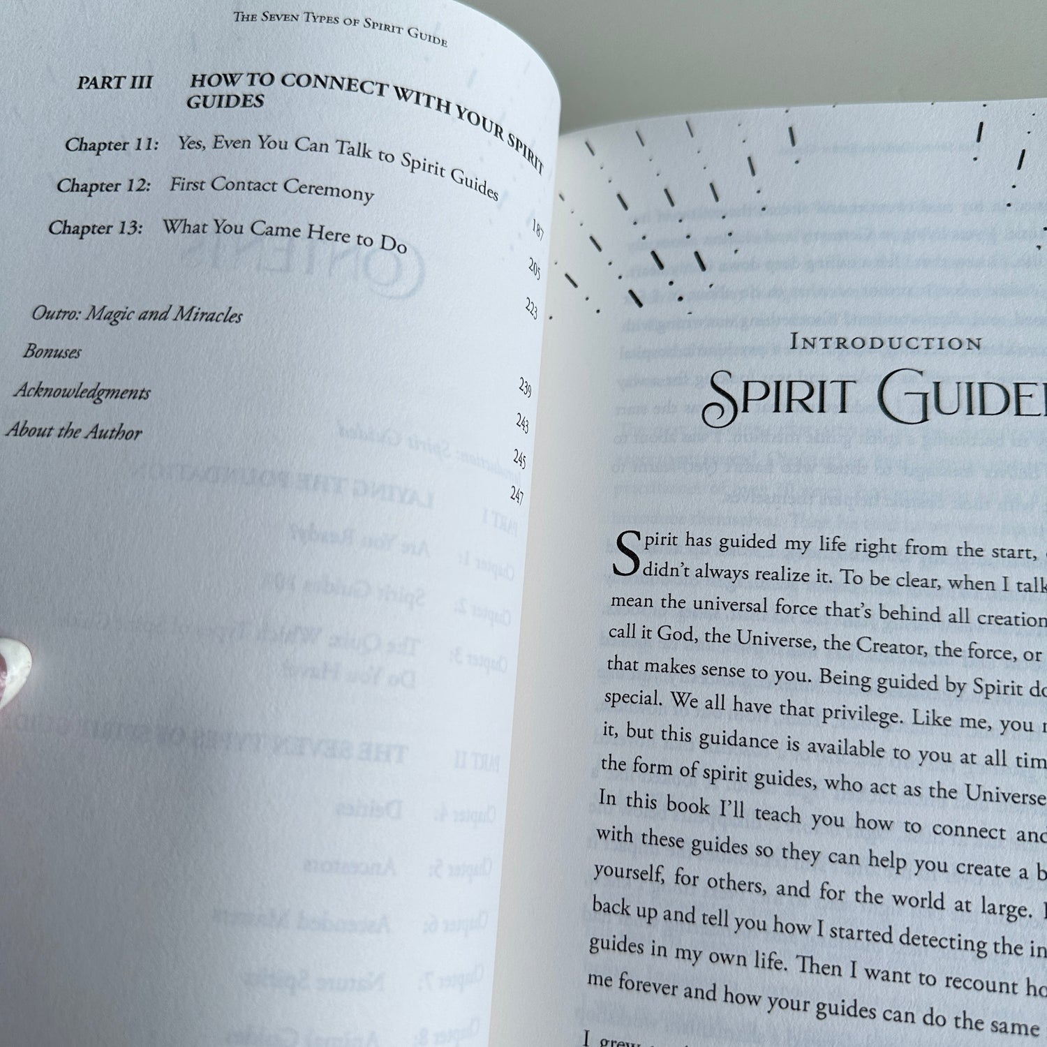 Seven Types Of Spirit Guides Yamile Yemoonyah