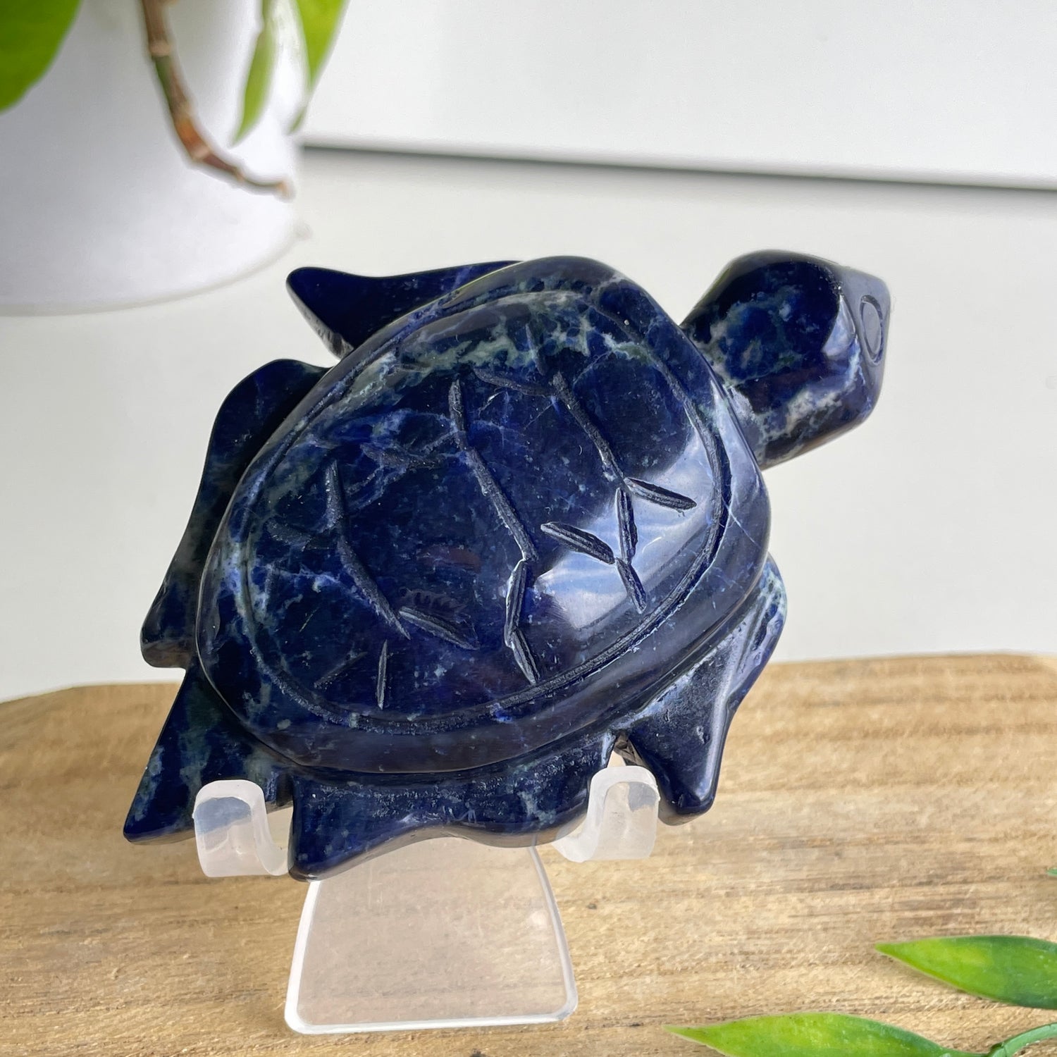 Sodalite Turtle 9