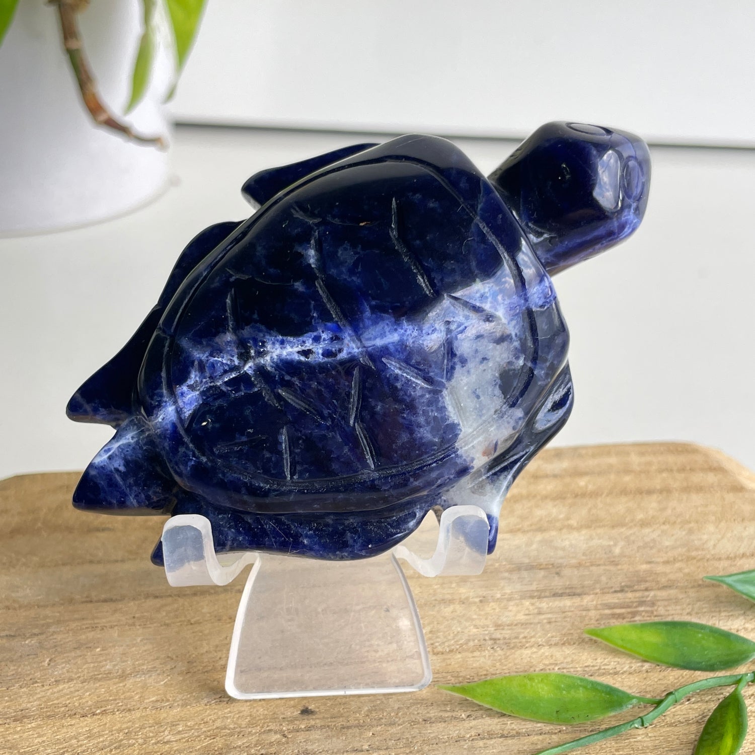 Sodalite Turtle 10