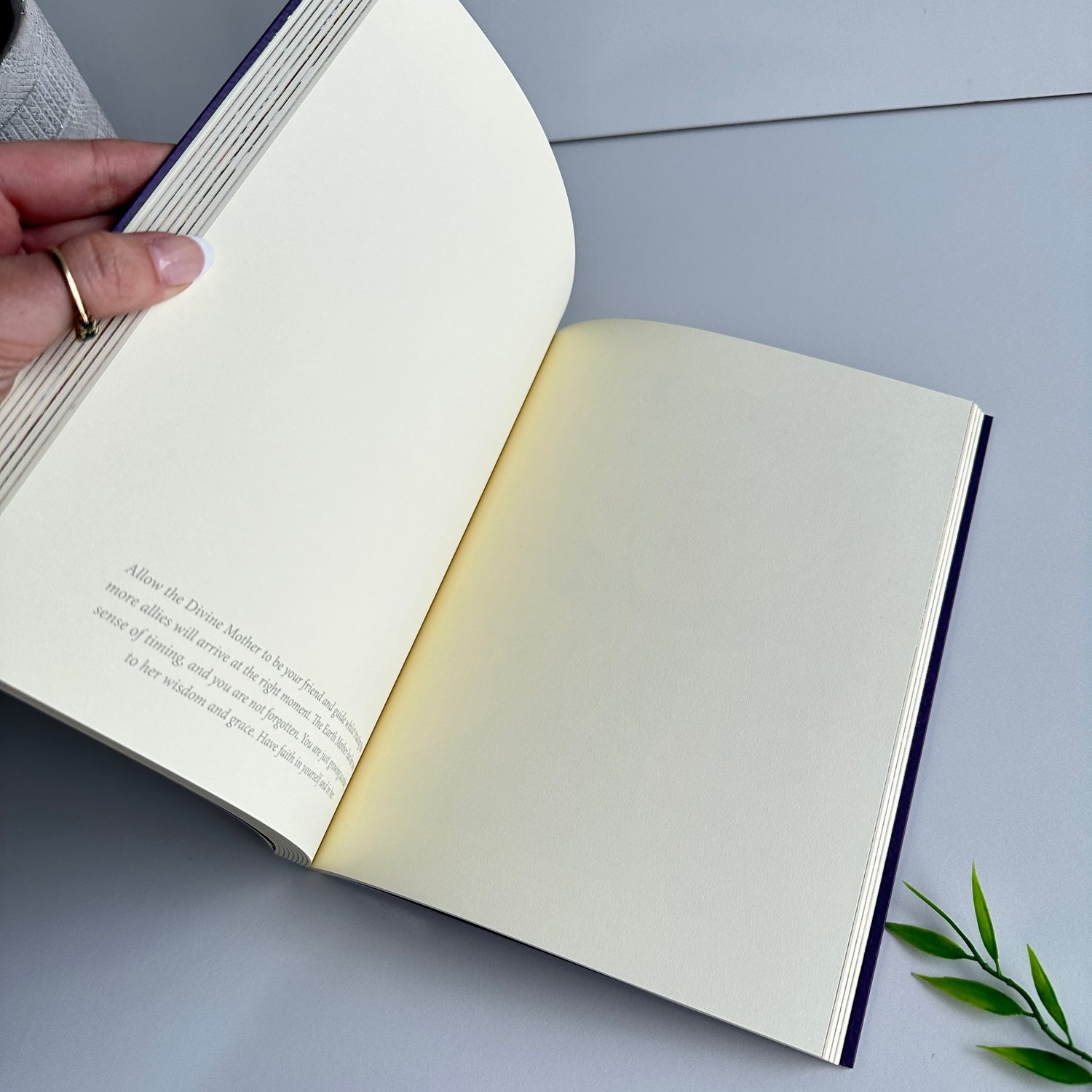 Earth Warriors Journal Alana Fairchild