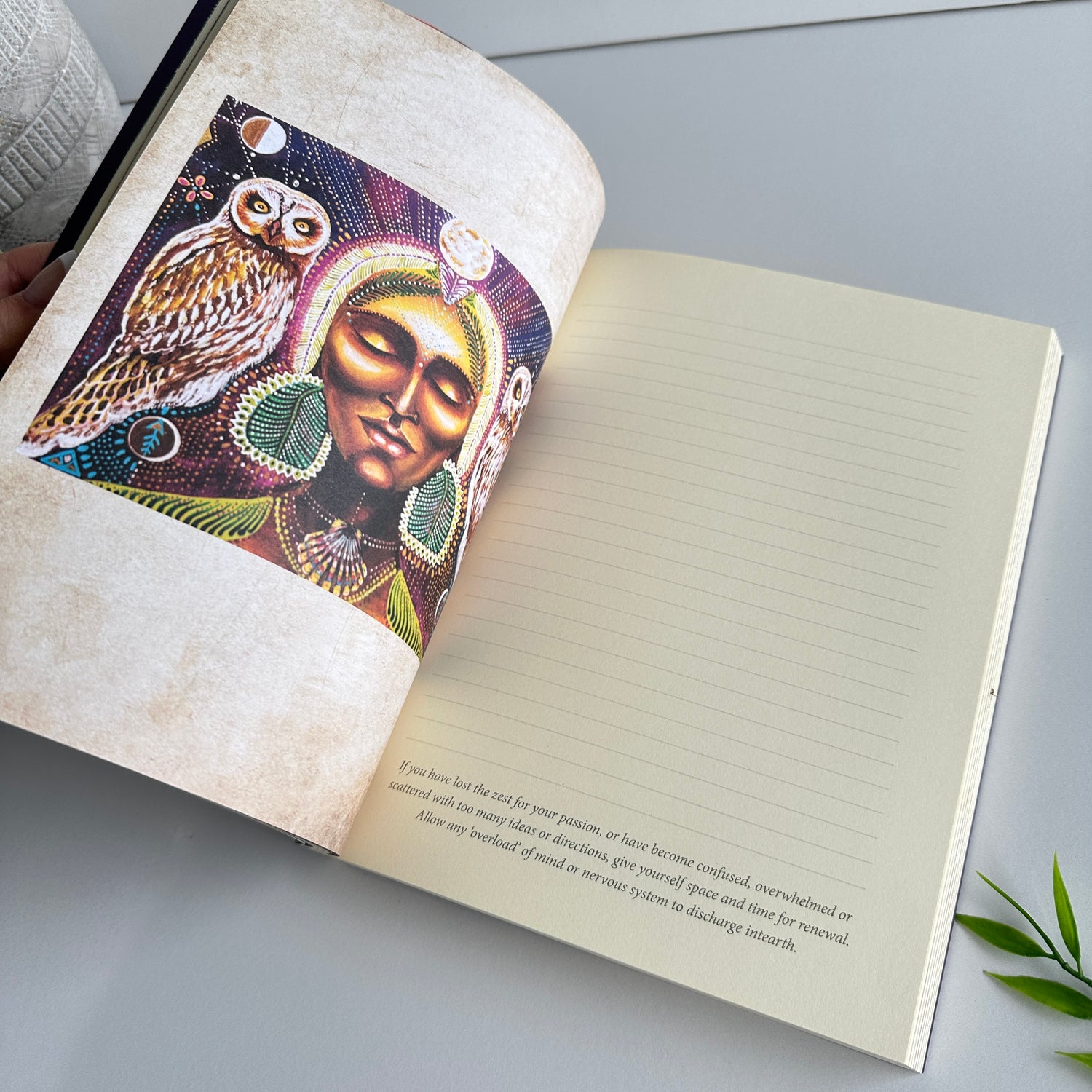 Earth Warriors Journal Alana Fairchild